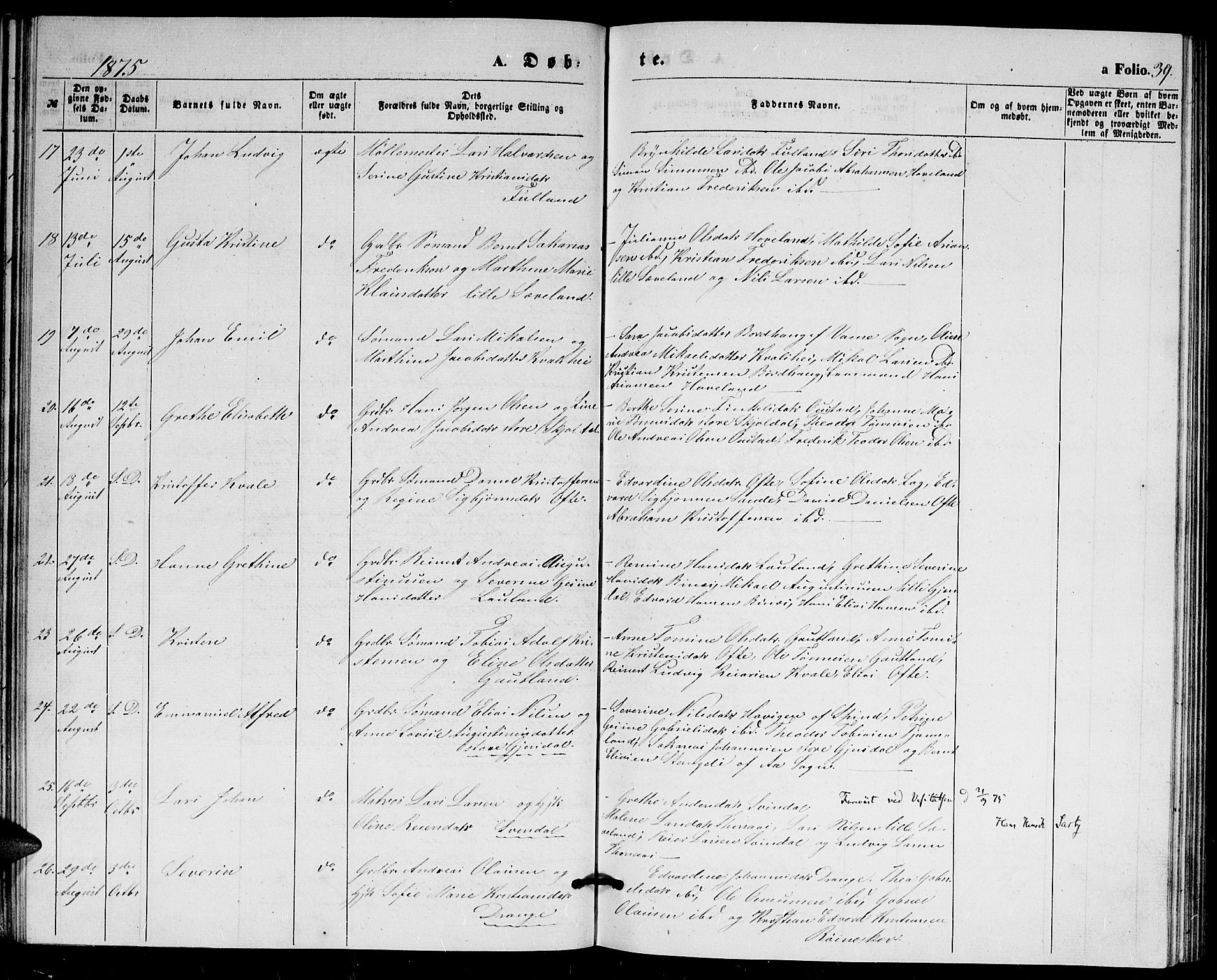 Herad sokneprestkontor, AV/SAK-1111-0018/F/Fb/Fba/L0003: Parish register (copy) no. B 3, 1863-1883, p. 39