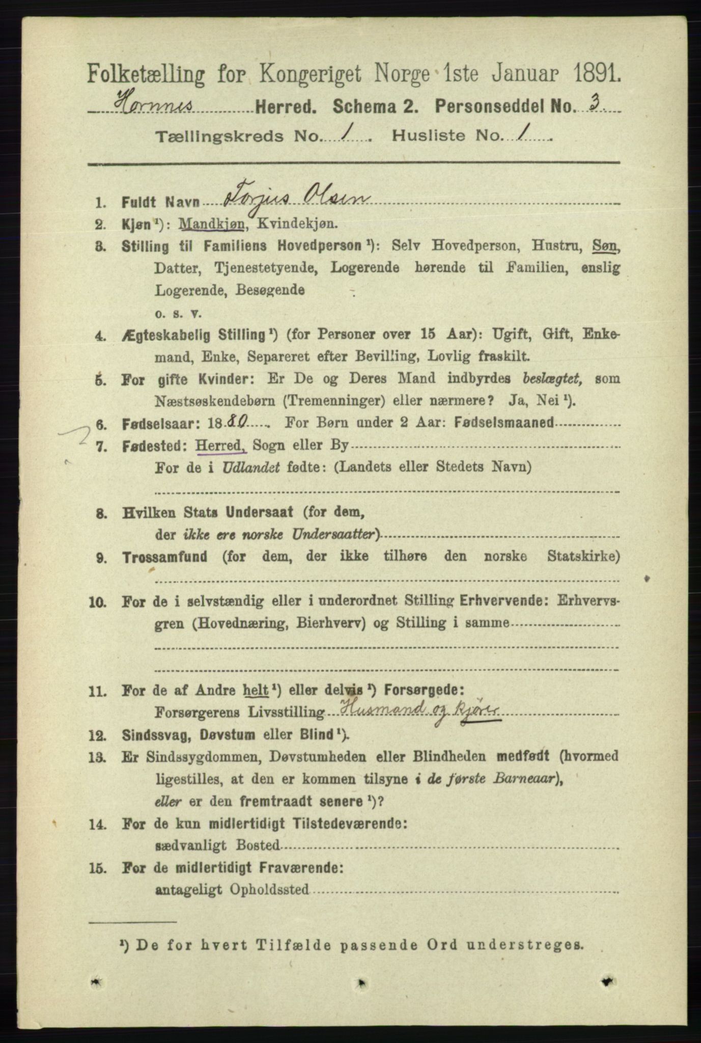 RA, 1891 census for 0936 Hornnes, 1891, p. 40