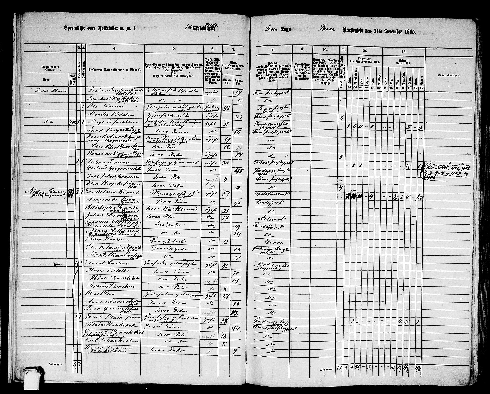 RA, 1865 census for Skodje, 1865, p. 19