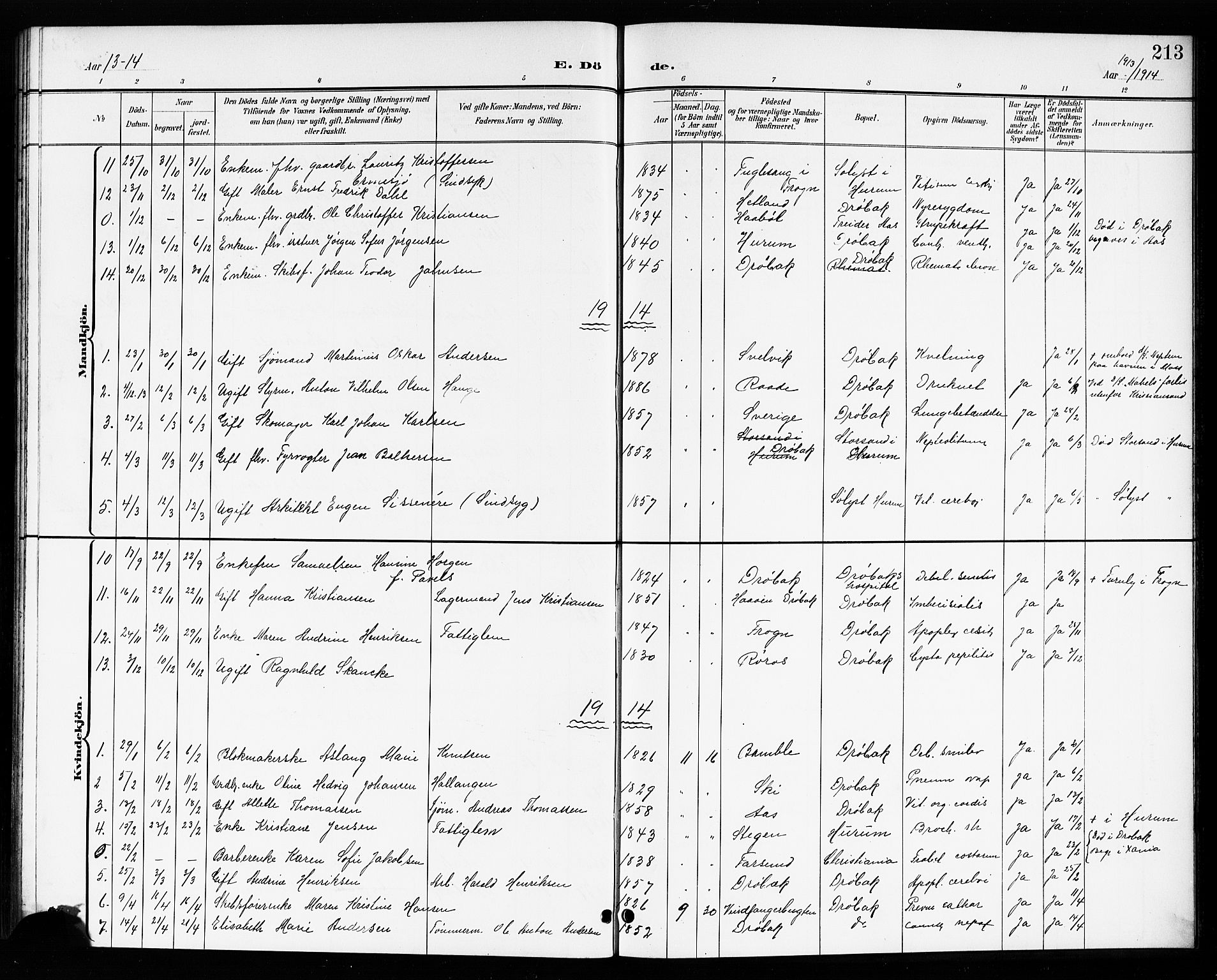 Drøbak prestekontor Kirkebøker, AV/SAO-A-10142a/G/Ga/L0001: Parish register (copy) no. I 1, 1897-1917, p. 213