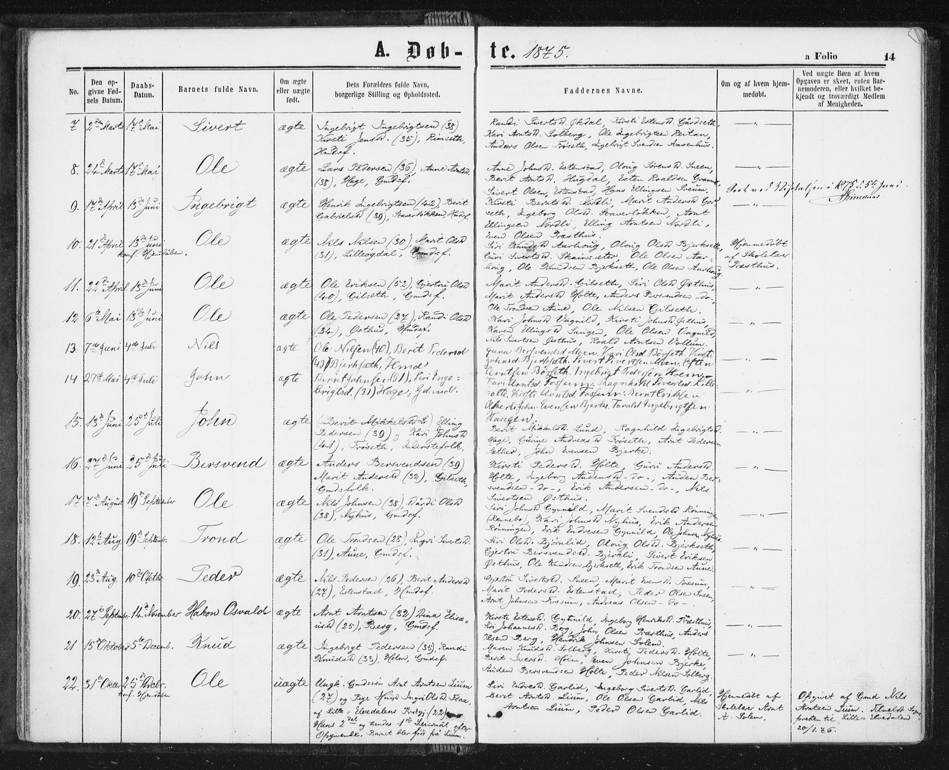 Ministerialprotokoller, klokkerbøker og fødselsregistre - Sør-Trøndelag, SAT/A-1456/689/L1039: Parish register (official) no. 689A04, 1865-1878, p. 14