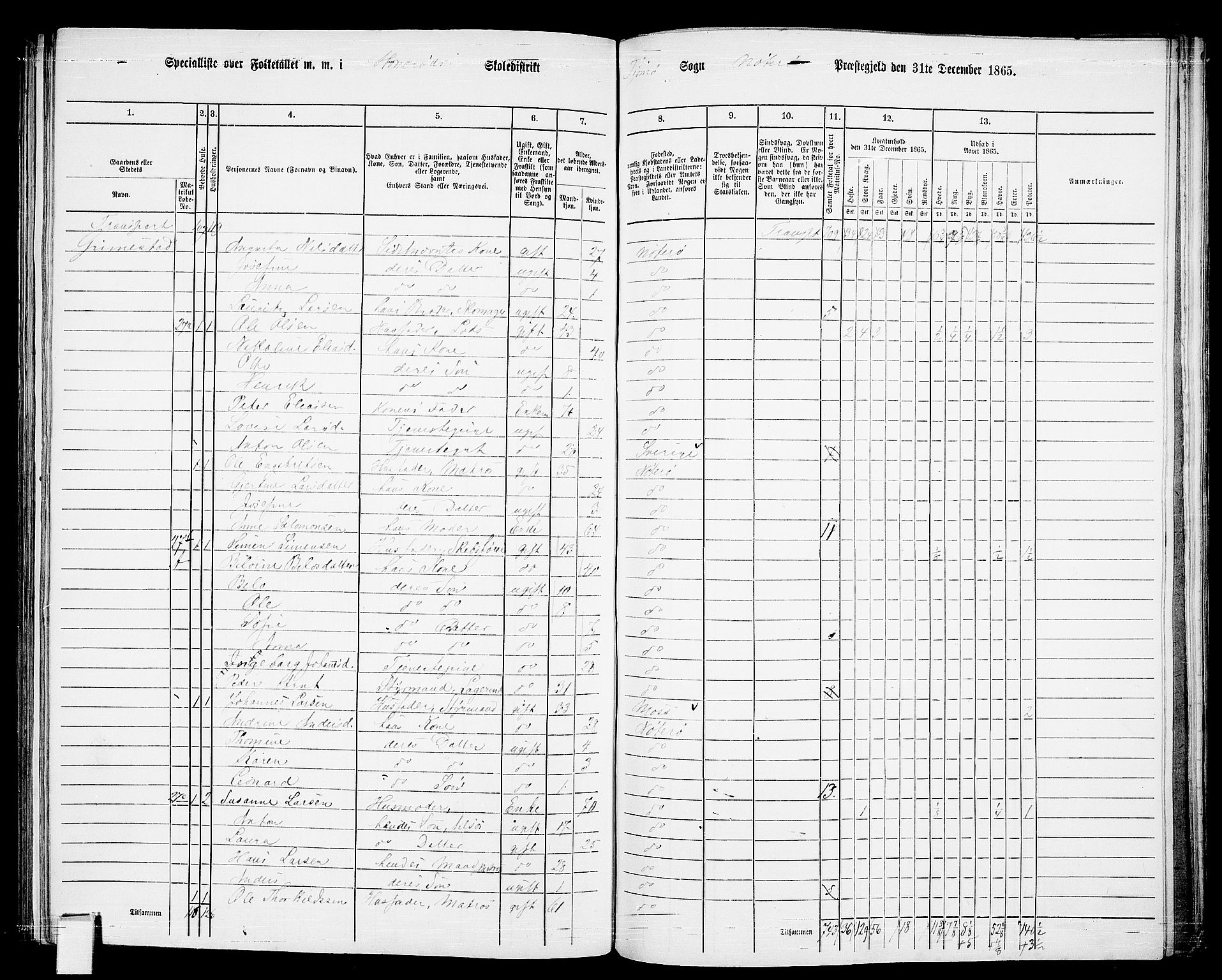 RA, 1865 census for Nøtterøy, 1865, p. 228