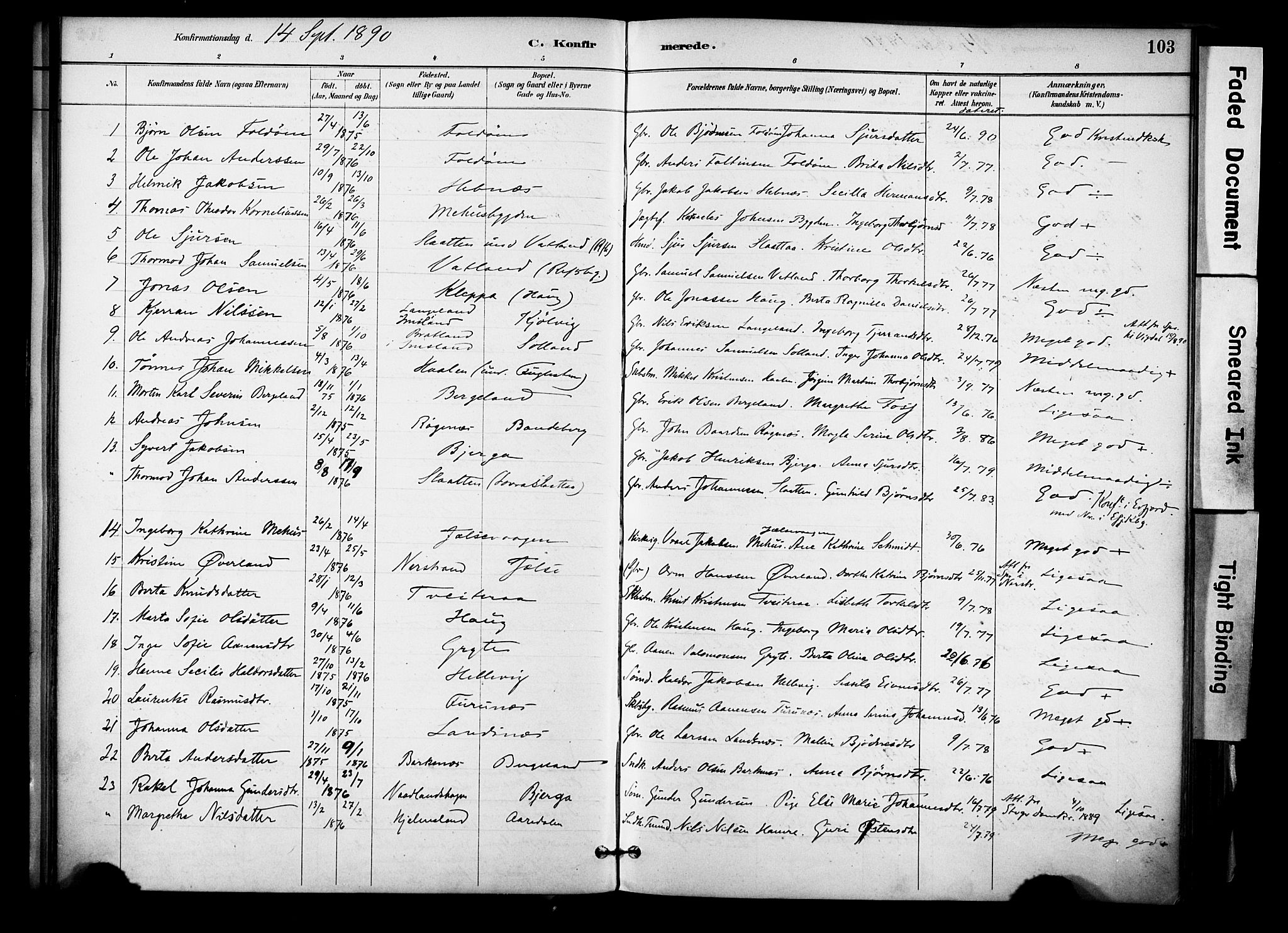Jelsa sokneprestkontor, SAST/A-101842/01/IV: Parish register (official) no. A 10, 1884-1906, p. 103