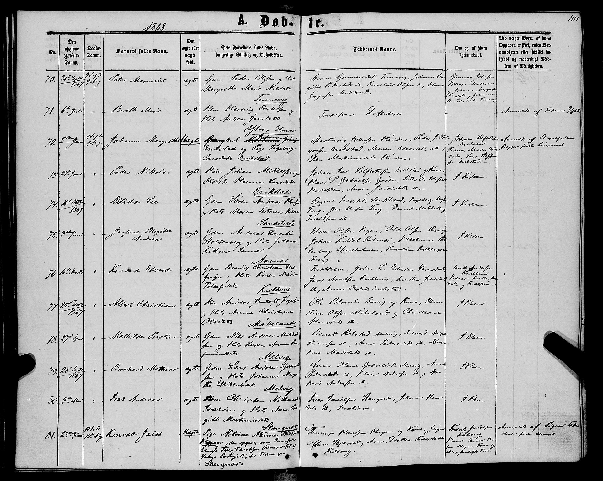 Trondenes sokneprestkontor, AV/SATØ-S-1319/H/Ha/L0012kirke: Parish register (official) no. 12, 1863-1870, p. 101