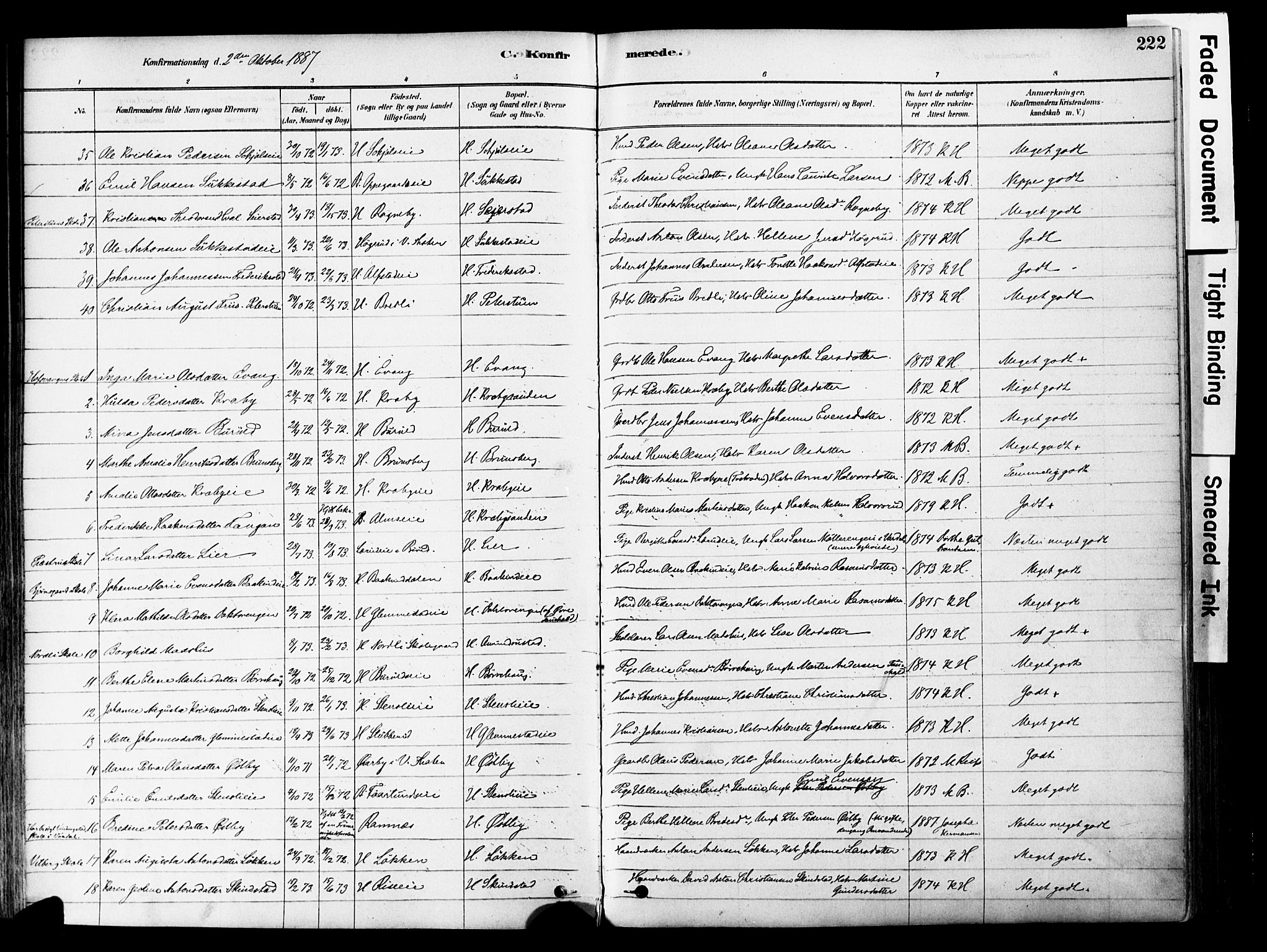 Østre Toten prestekontor, AV/SAH-PREST-104/H/Ha/Haa/L0006: Parish register (official) no. 6 /1, 1878-1896, p. 222