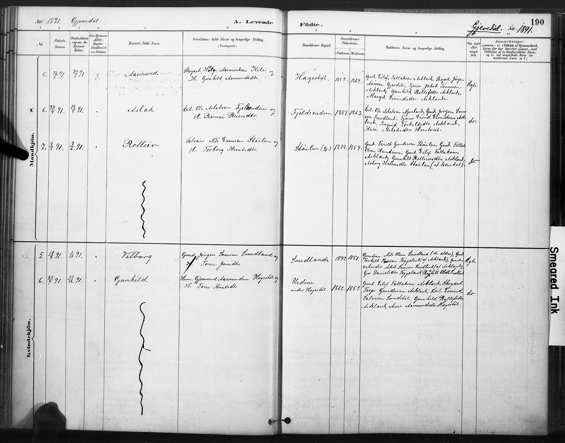 Åmli sokneprestkontor, AV/SAK-1111-0050/F/Fa/Fac/L0010: Parish register (official) no. A 10 /2, 1885-1899, p. 190