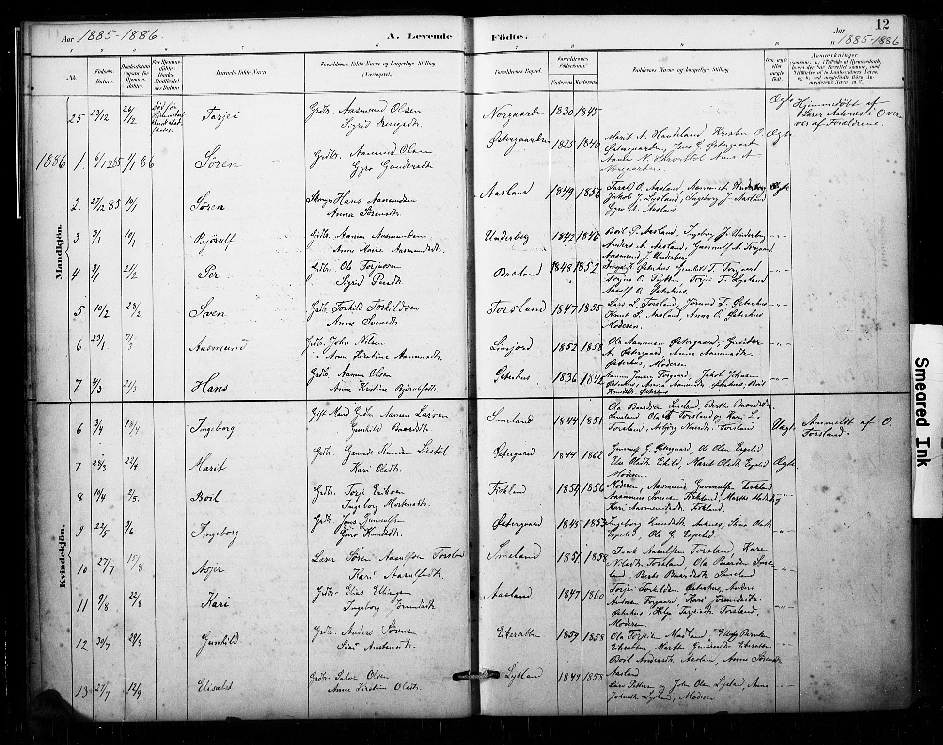 Åseral sokneprestkontor, AV/SAK-1111-0051/F/Fa/L0003: Parish register (official) no. A 3, 1884-1901, p. 12