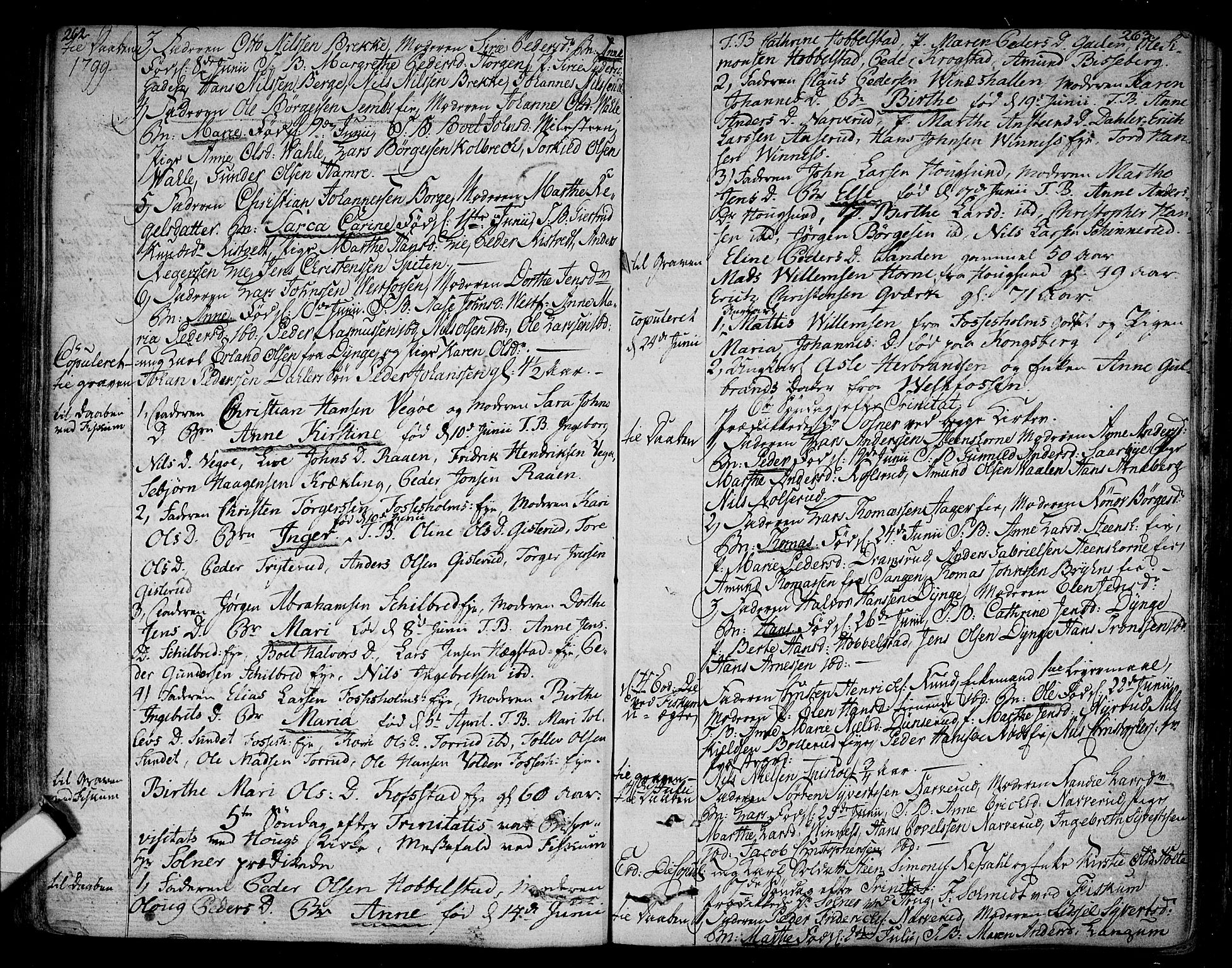 Eiker kirkebøker, SAKO/A-4/F/Fa/L0009: Parish register (official) no. I 9, 1789-1806, p. 262-263