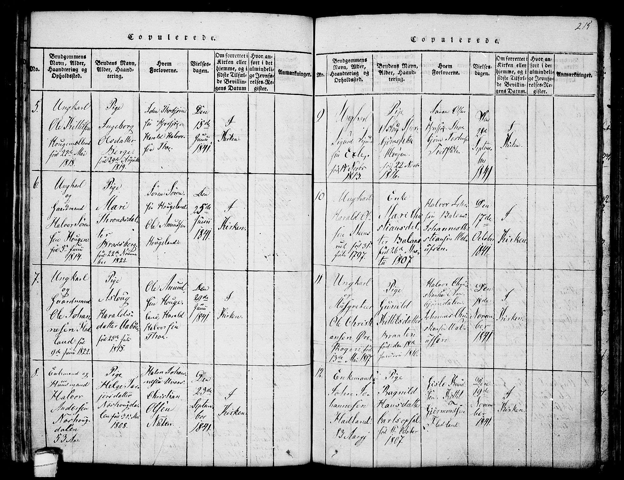 Hjartdal kirkebøker, AV/SAKO-A-270/F/Fa/L0007: Parish register (official) no. I 7, 1815-1843, p. 215