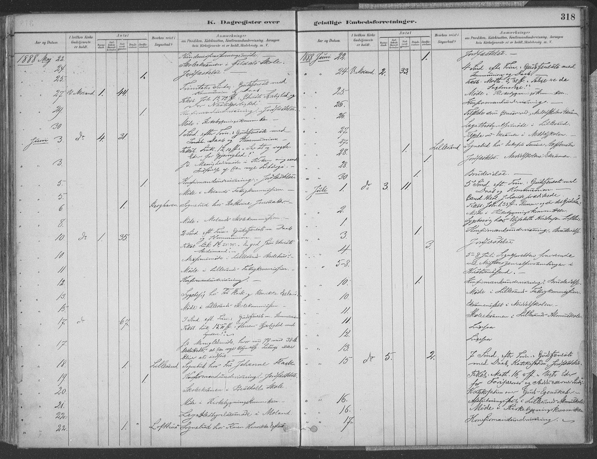 Vestre Moland sokneprestkontor, AV/SAK-1111-0046/F/Fa/Fab/L0009: Parish register (official) no. A 9, 1884-1899, p. 318