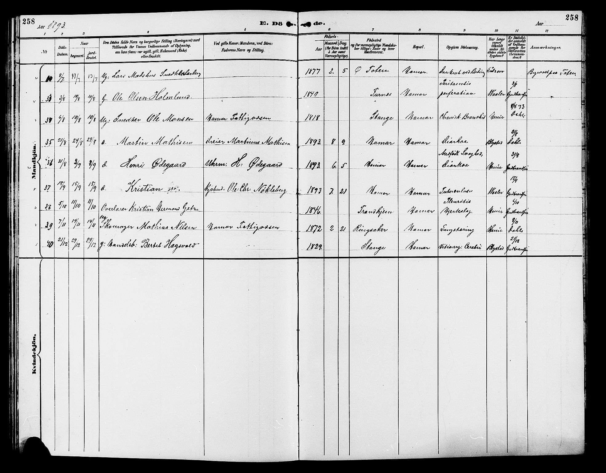 Vang prestekontor, Hedmark, AV/SAH-PREST-008/H/Ha/Hab/L0013: Parish register (copy) no. 13, 1890-1899, p. 258