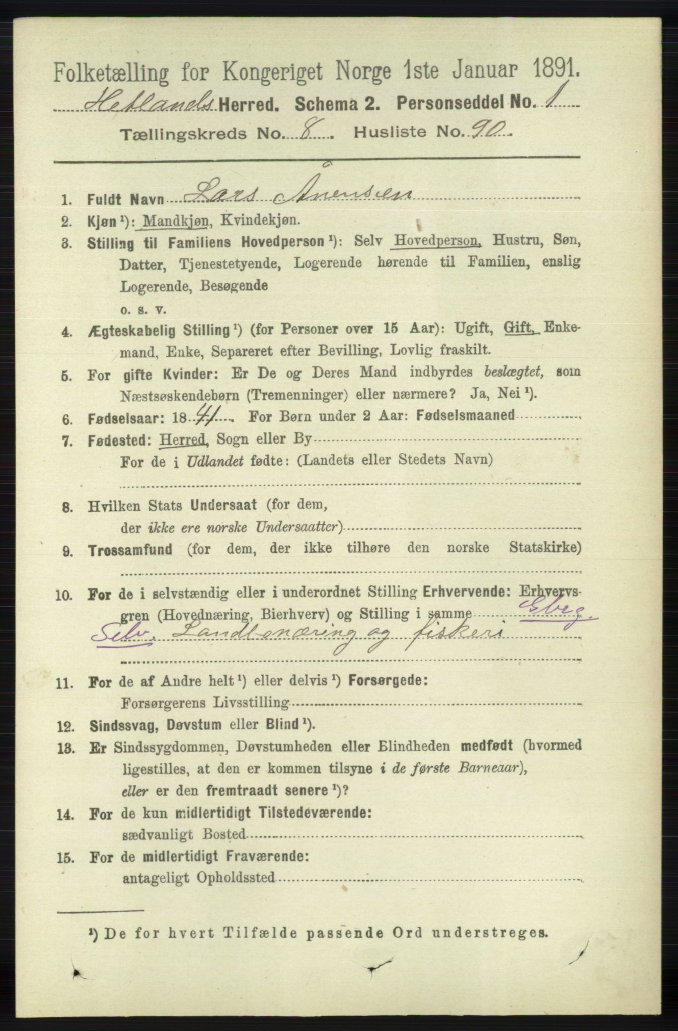 RA, 1891 census for 1126 Hetland, 1891, p. 4989