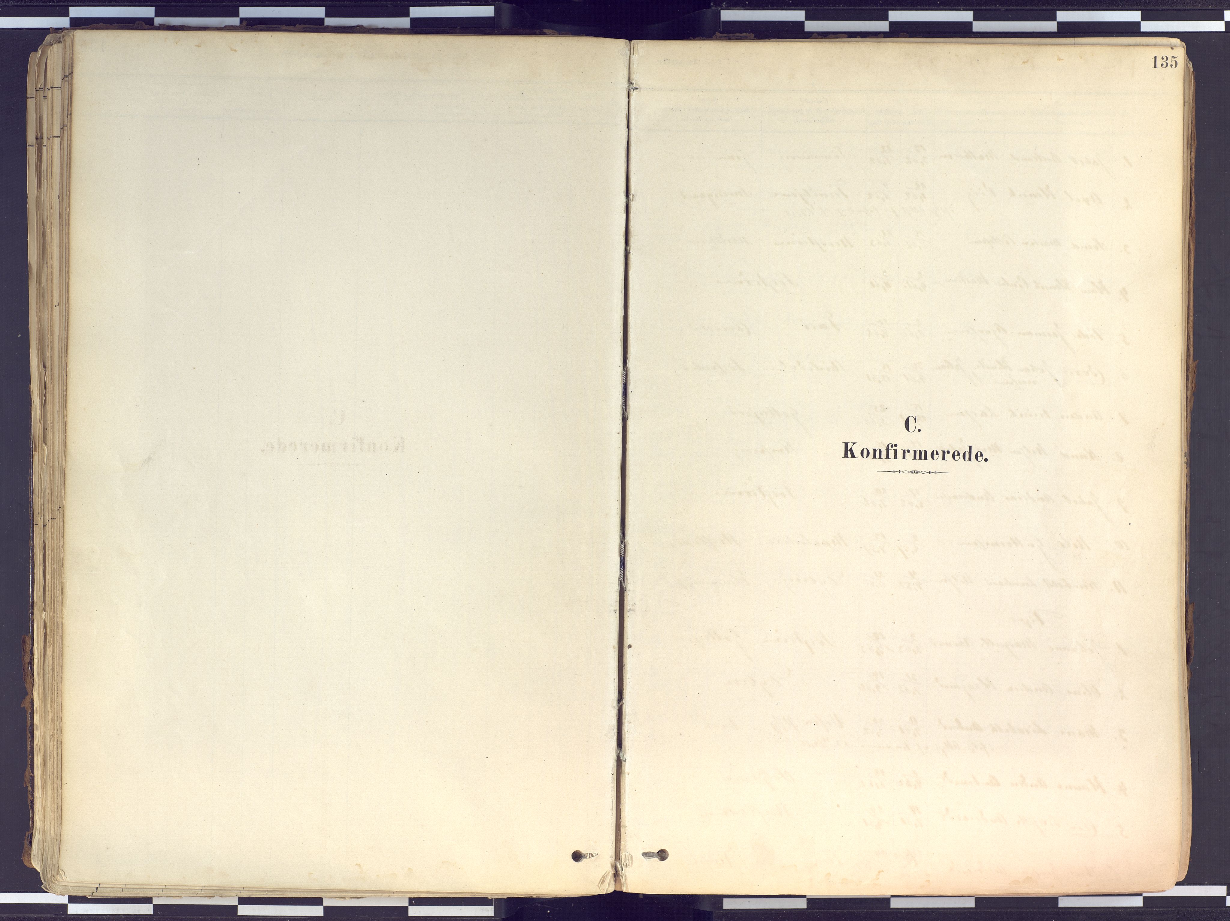 Tranøy sokneprestkontor, AV/SATØ-S-1313/I/Ia/Iaa/L0010kirke: Parish register (official) no. 10, 1878-1904, p. 135