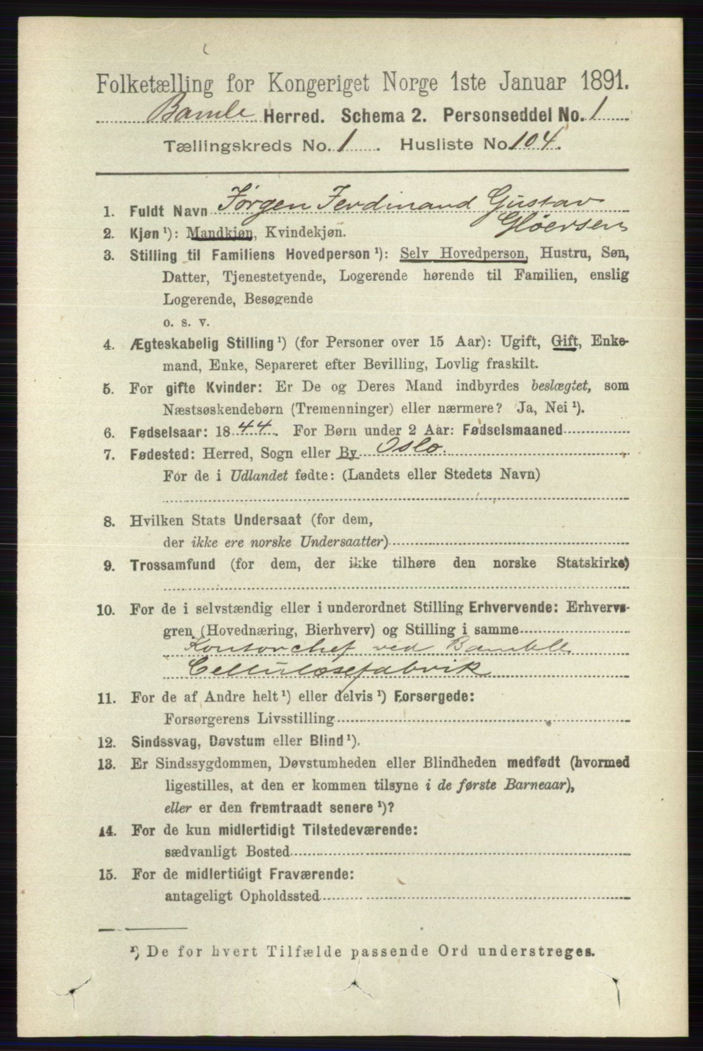 RA, 1891 census for 0814 Bamble, 1891, p. 923