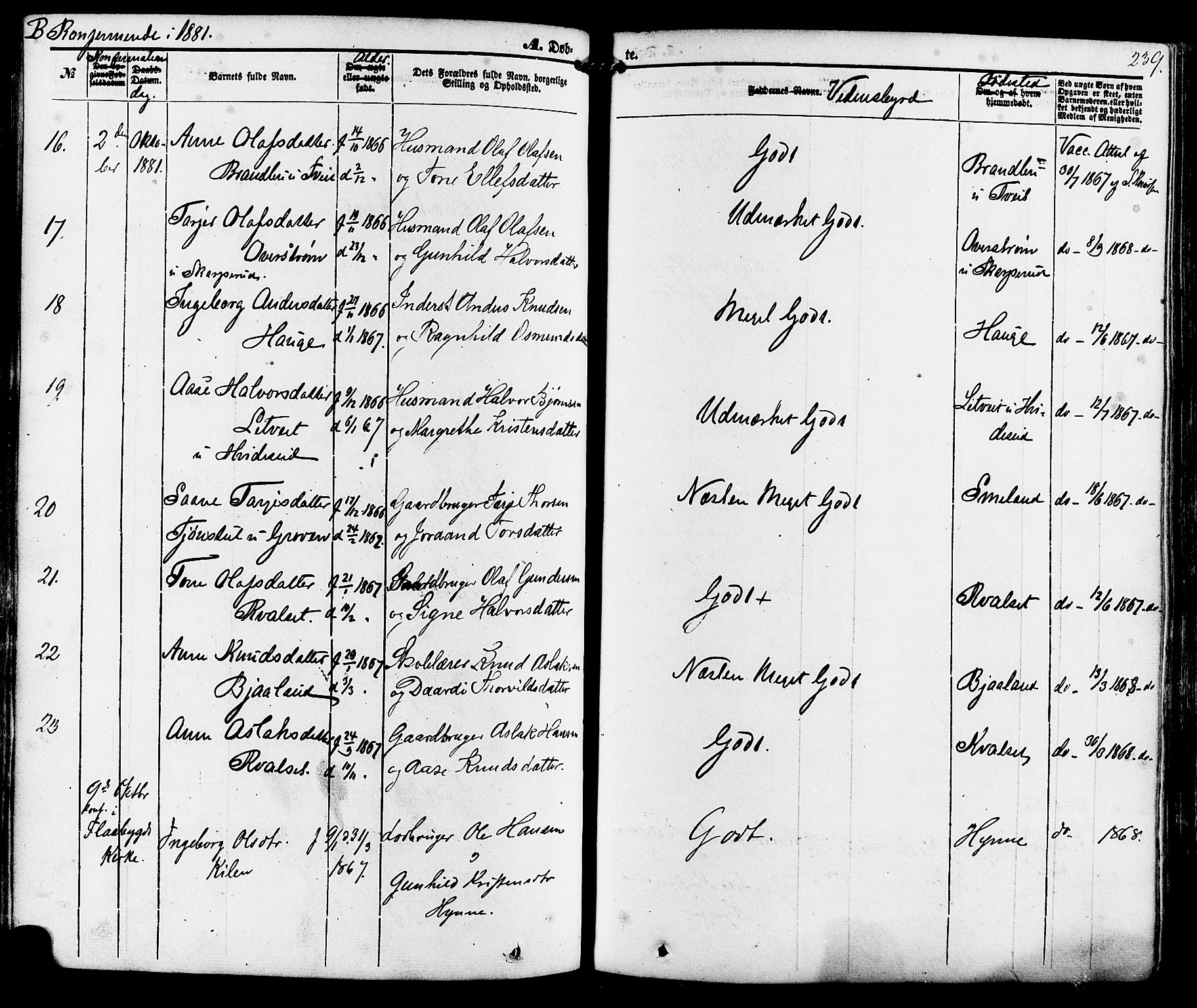 Kviteseid kirkebøker, AV/SAKO-A-276/F/Fa/L0007: Parish register (official) no. I 7, 1859-1881, p. 239