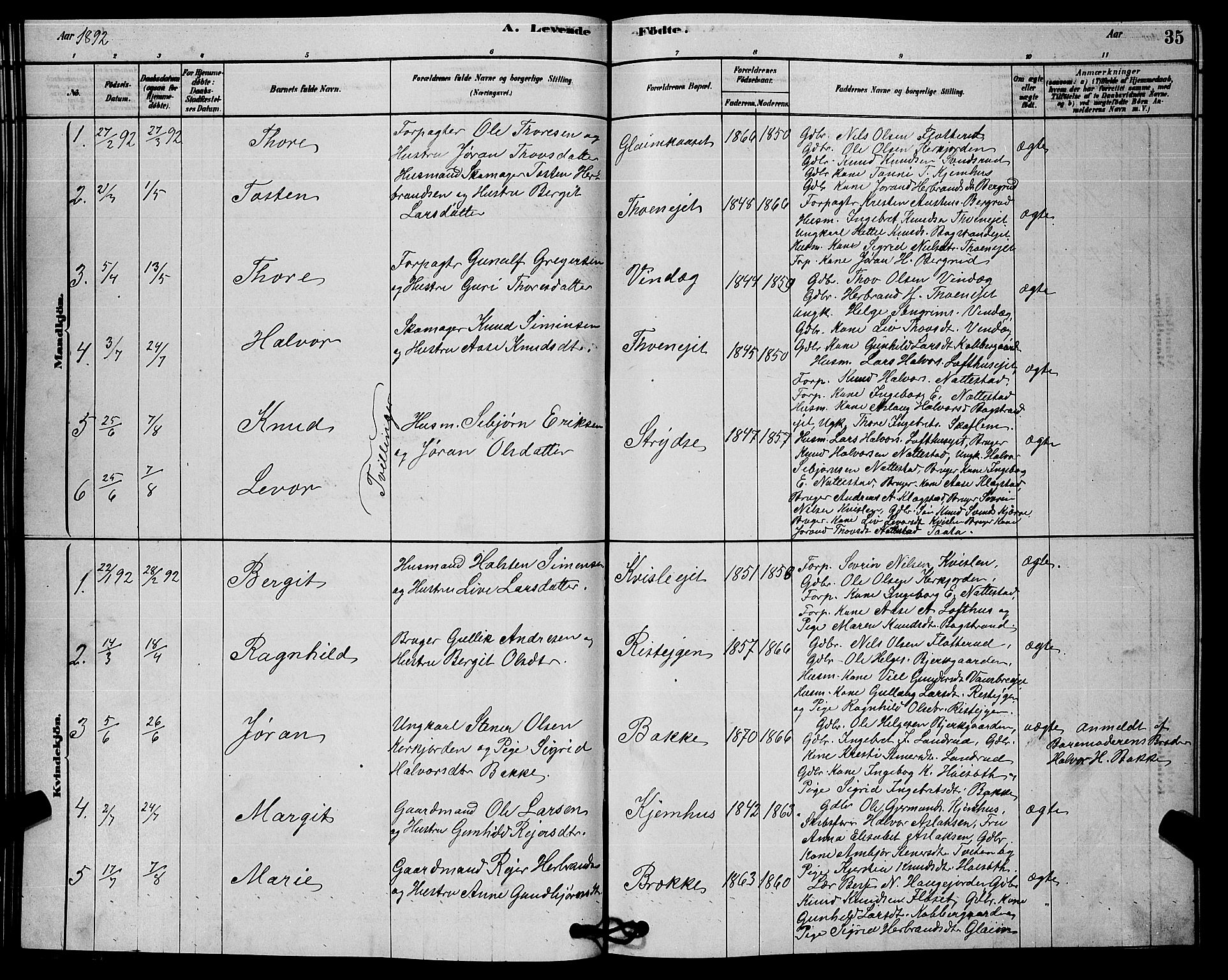 Rollag kirkebøker, SAKO/A-240/G/Gb/L0002: Parish register (copy) no. II 2, 1878-1898, p. 35