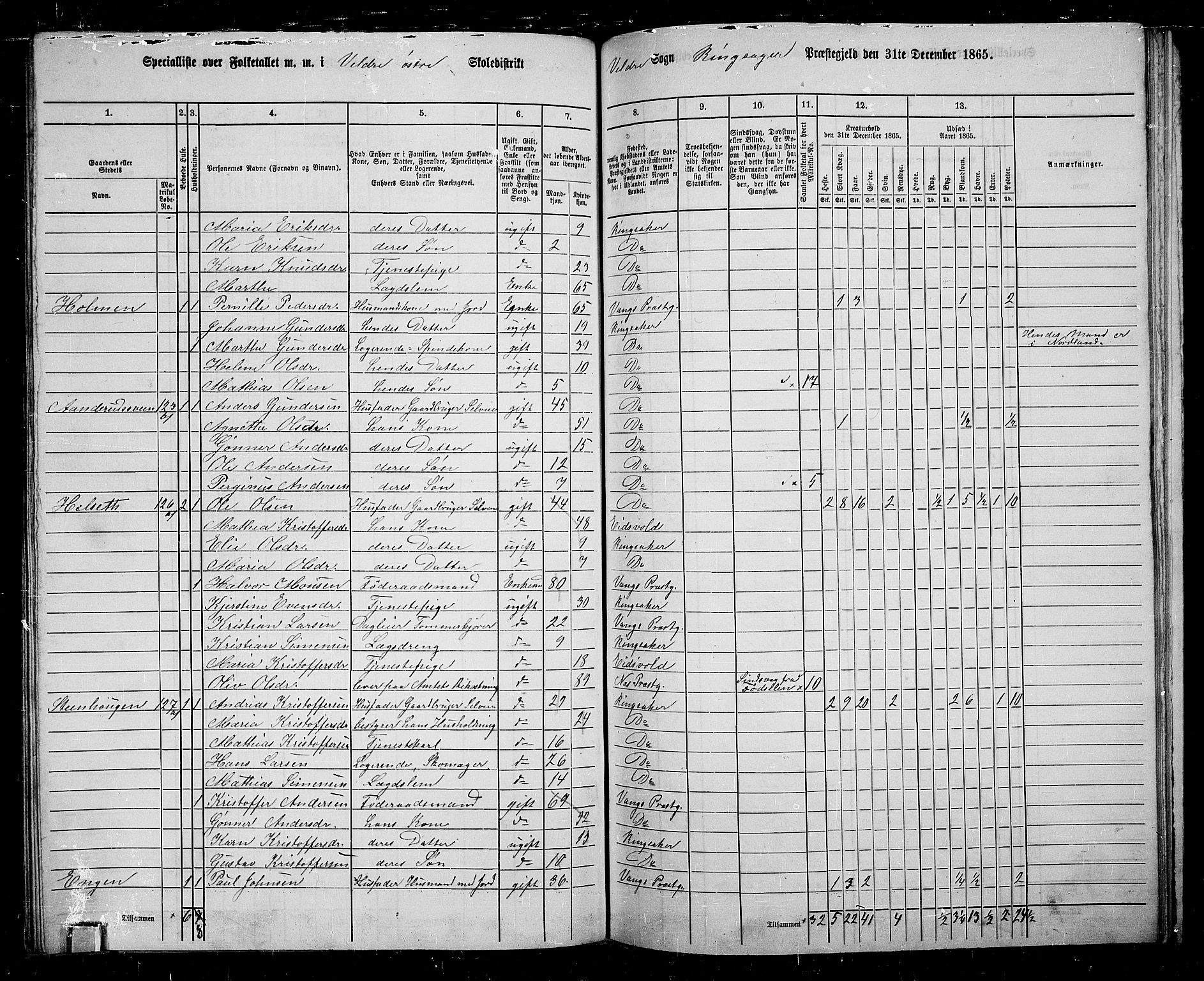 RA, 1865 census for Ringsaker, 1865, p. 193