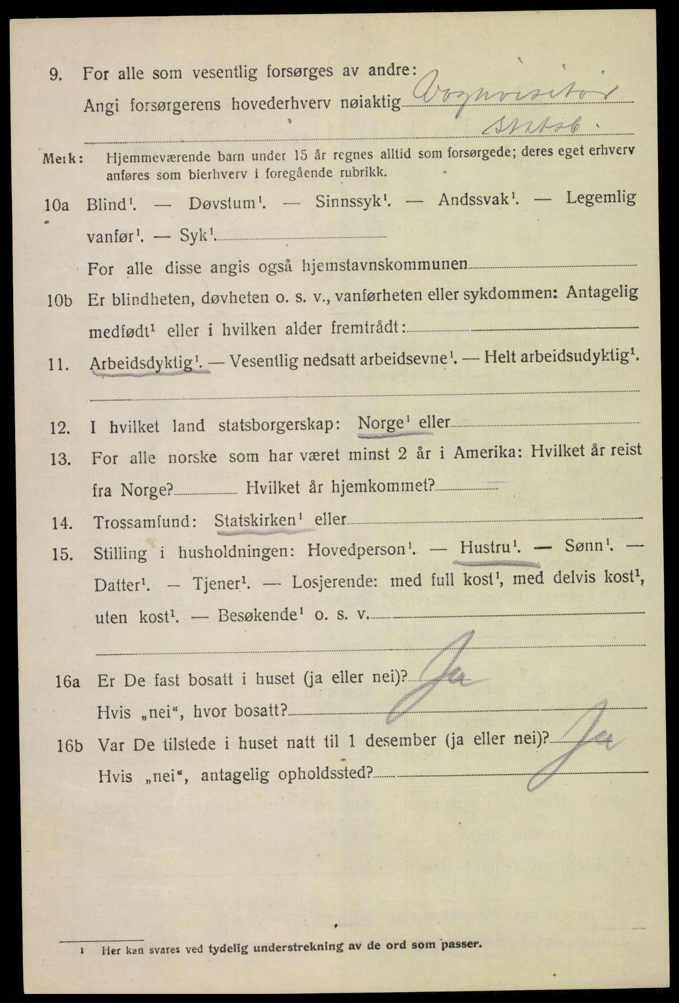 SAH, 1920 census for Vang (Hedmark), 1920, p. 6446