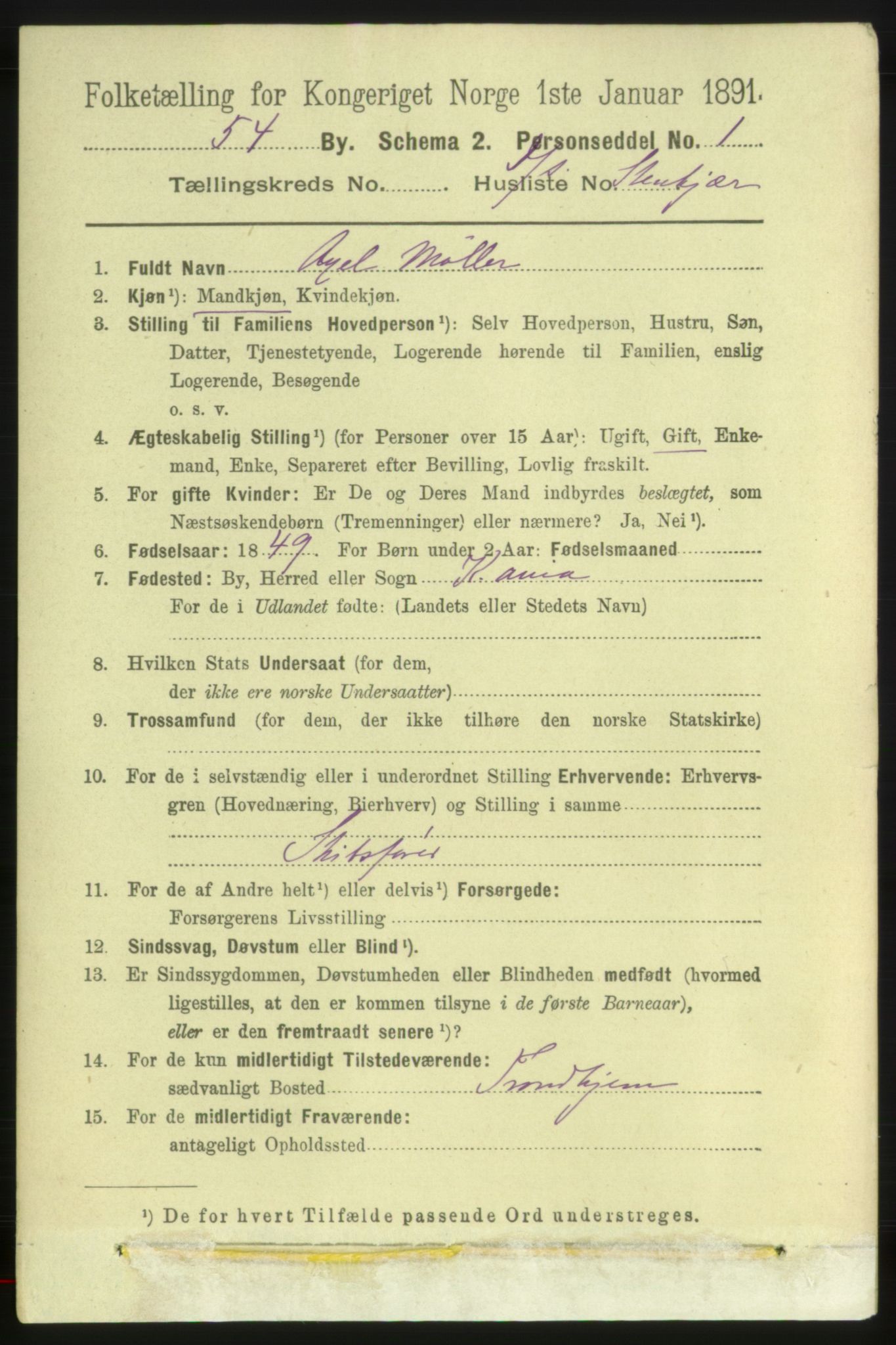 RA, 1891 census for 1702 Steinkjer, 1891, p. 2519