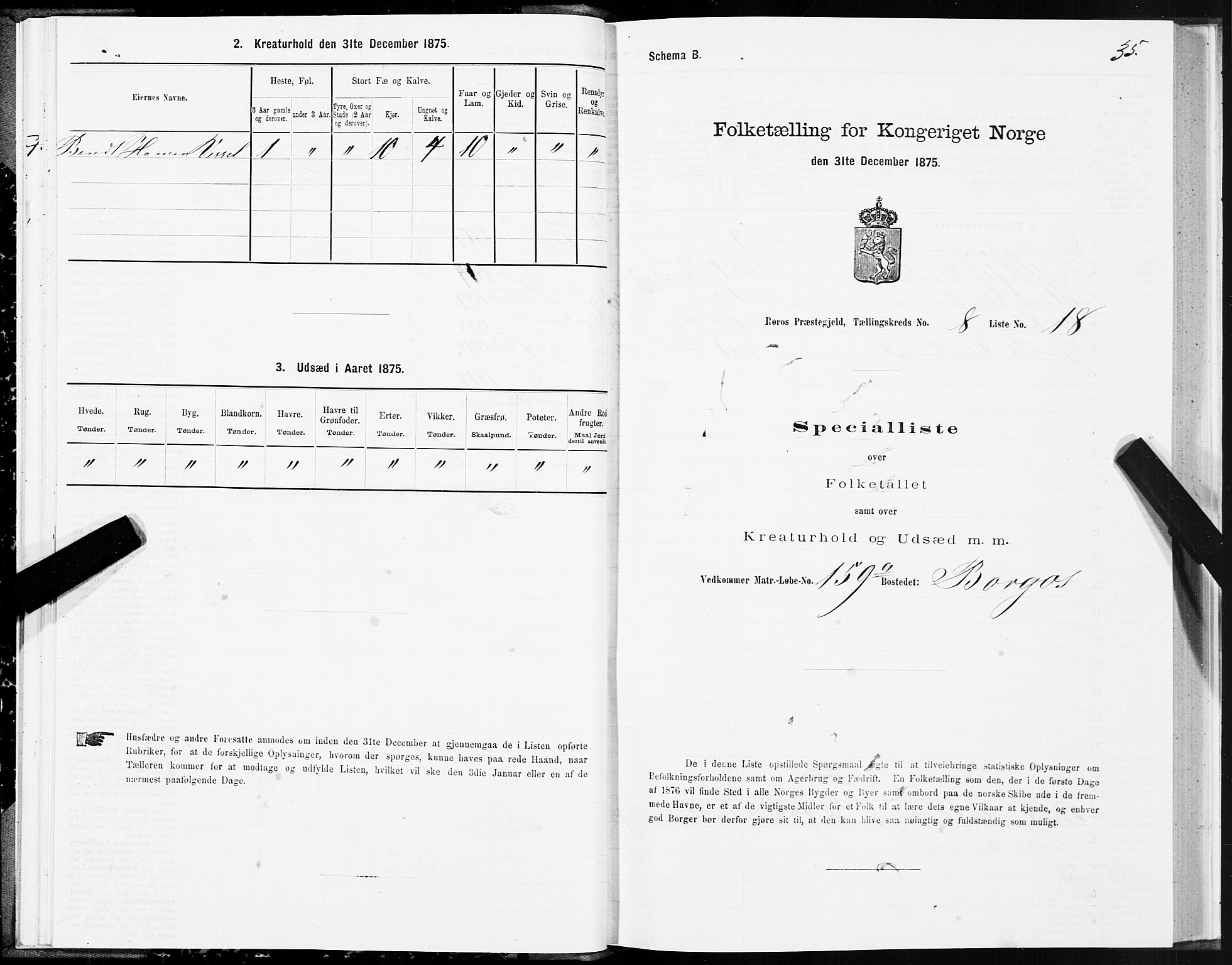 SAT, 1875 census for 1640P Røros, 1875, p. 5035