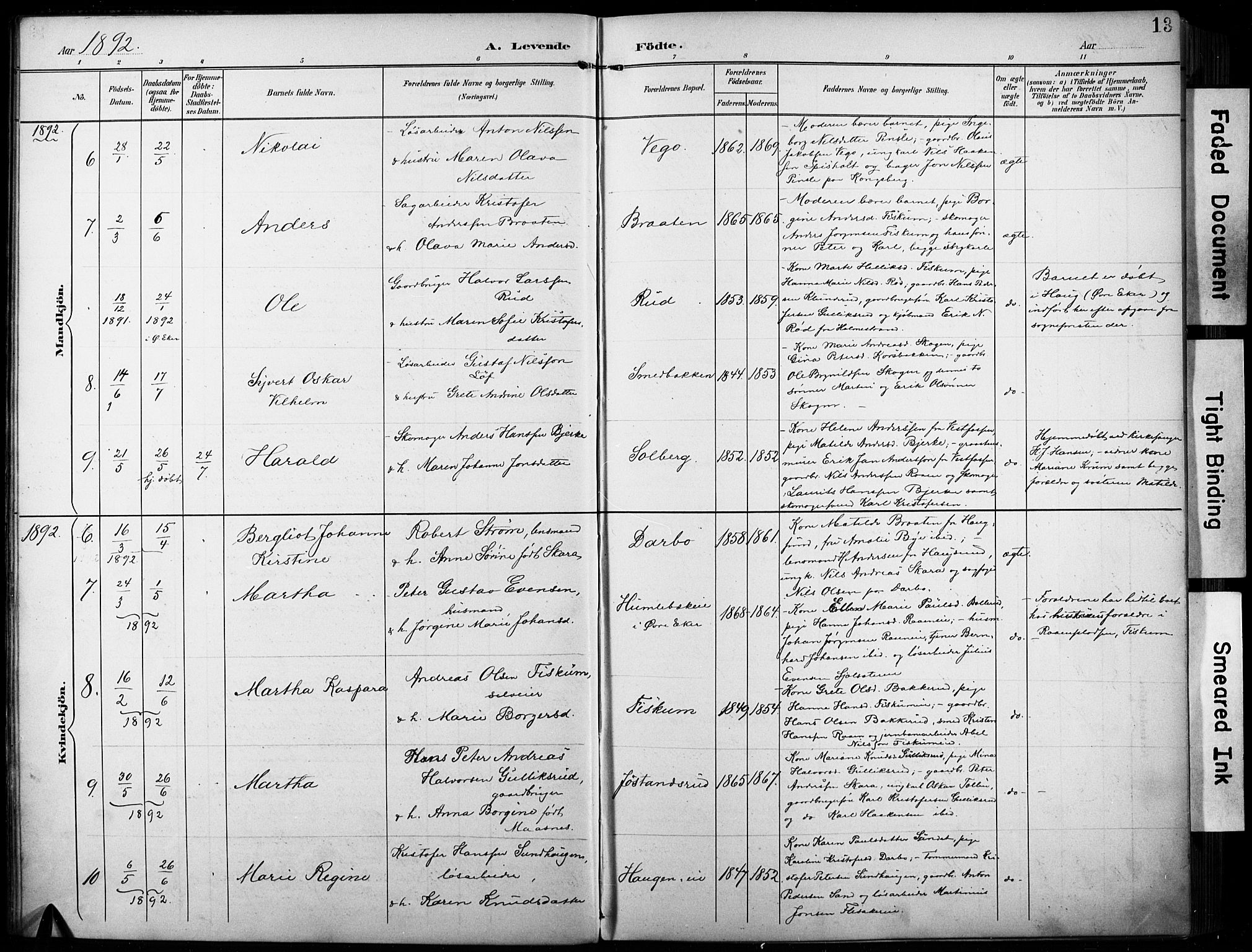 Fiskum kirkebøker, AV/SAKO-A-15/F/Fa/L0003: Parish register (official) no. 3, 1890-1905, p. 13