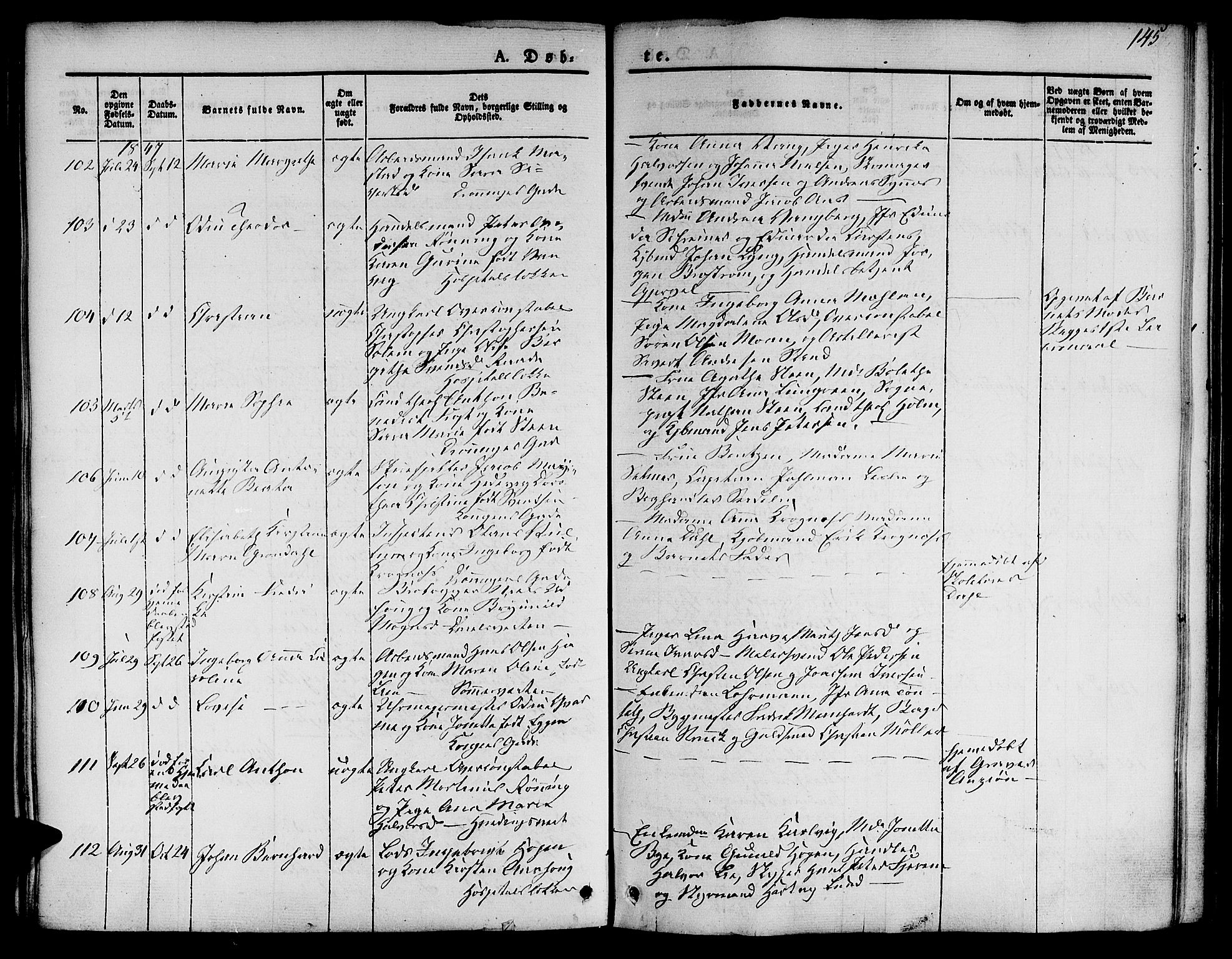 Ministerialprotokoller, klokkerbøker og fødselsregistre - Sør-Trøndelag, SAT/A-1456/601/L0048: Parish register (official) no. 601A16, 1840-1847, p. 145