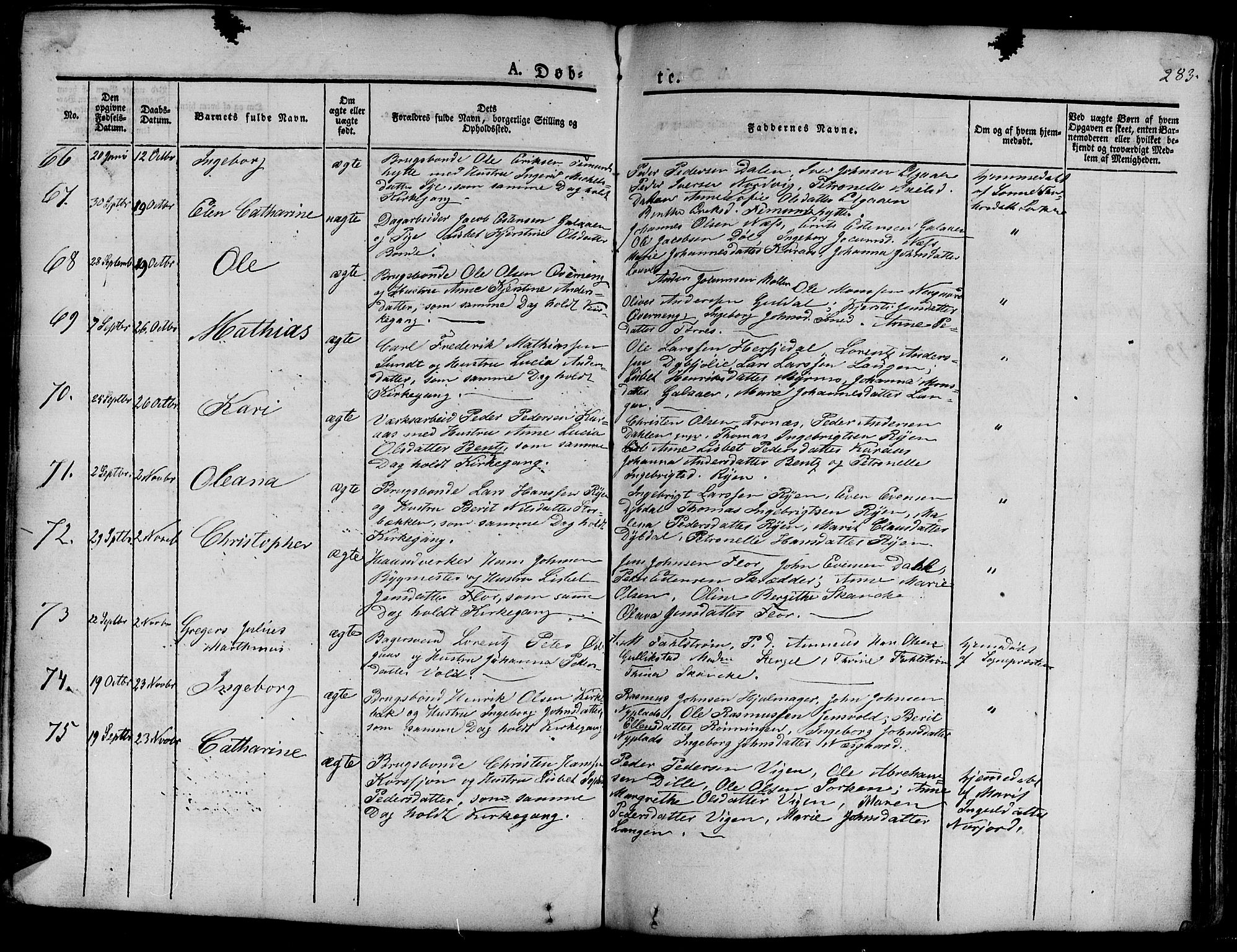 Ministerialprotokoller, klokkerbøker og fødselsregistre - Sør-Trøndelag, SAT/A-1456/681/L0938: Parish register (copy) no. 681C02, 1829-1879, p. 283