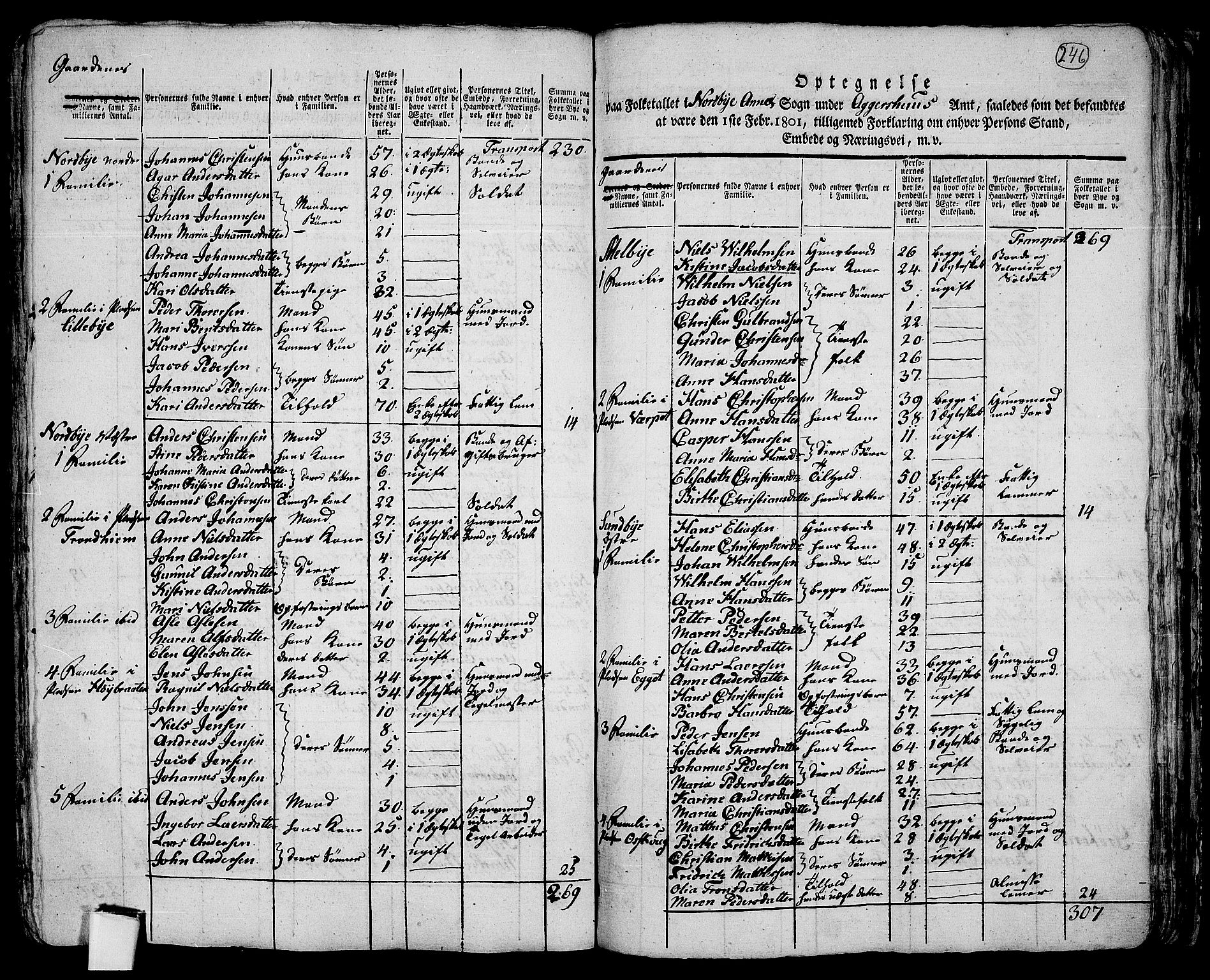 RA, 1801 census for 0214P Ås, 1801, p. 245b-246a