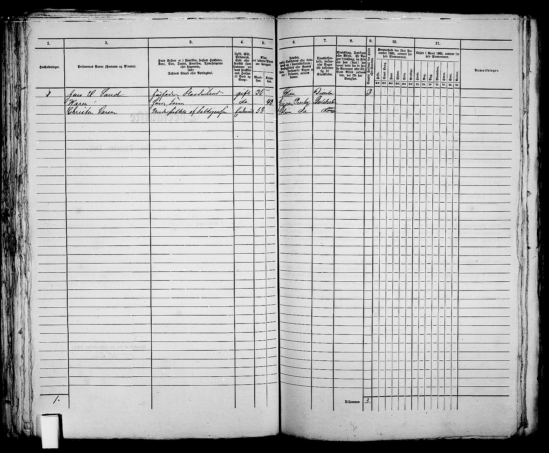 RA, 1865 census for Skien, 1865, p. 162