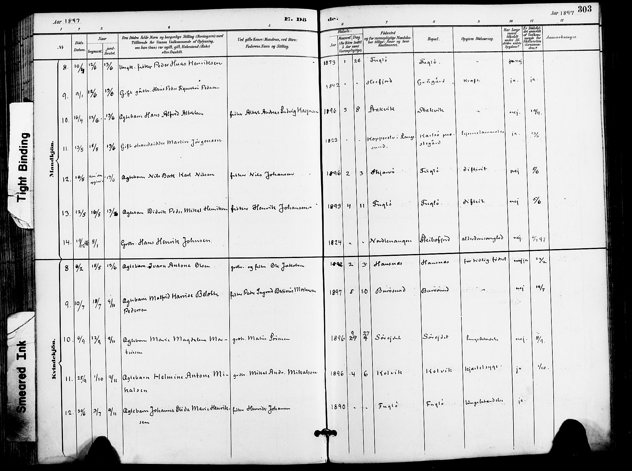 Karlsøy sokneprestembete, AV/SATØ-S-1299/H/Ha/Haa/L0007kirke: Parish register (official) no. 7, 1891-1902, p. 303