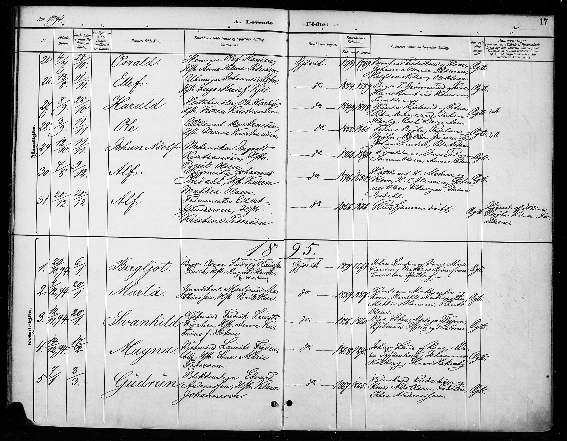 Vardal prestekontor, SAH/PREST-100/H/Ha/Haa/L0011: Parish register (official) no. 11, 1891-1901, p. 17