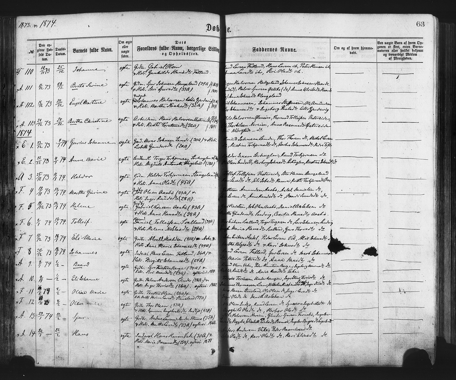 Fjelberg sokneprestembete, SAB/A-75201/H/Haa: Parish register (official) no. A 8, 1866-1879, p. 63
