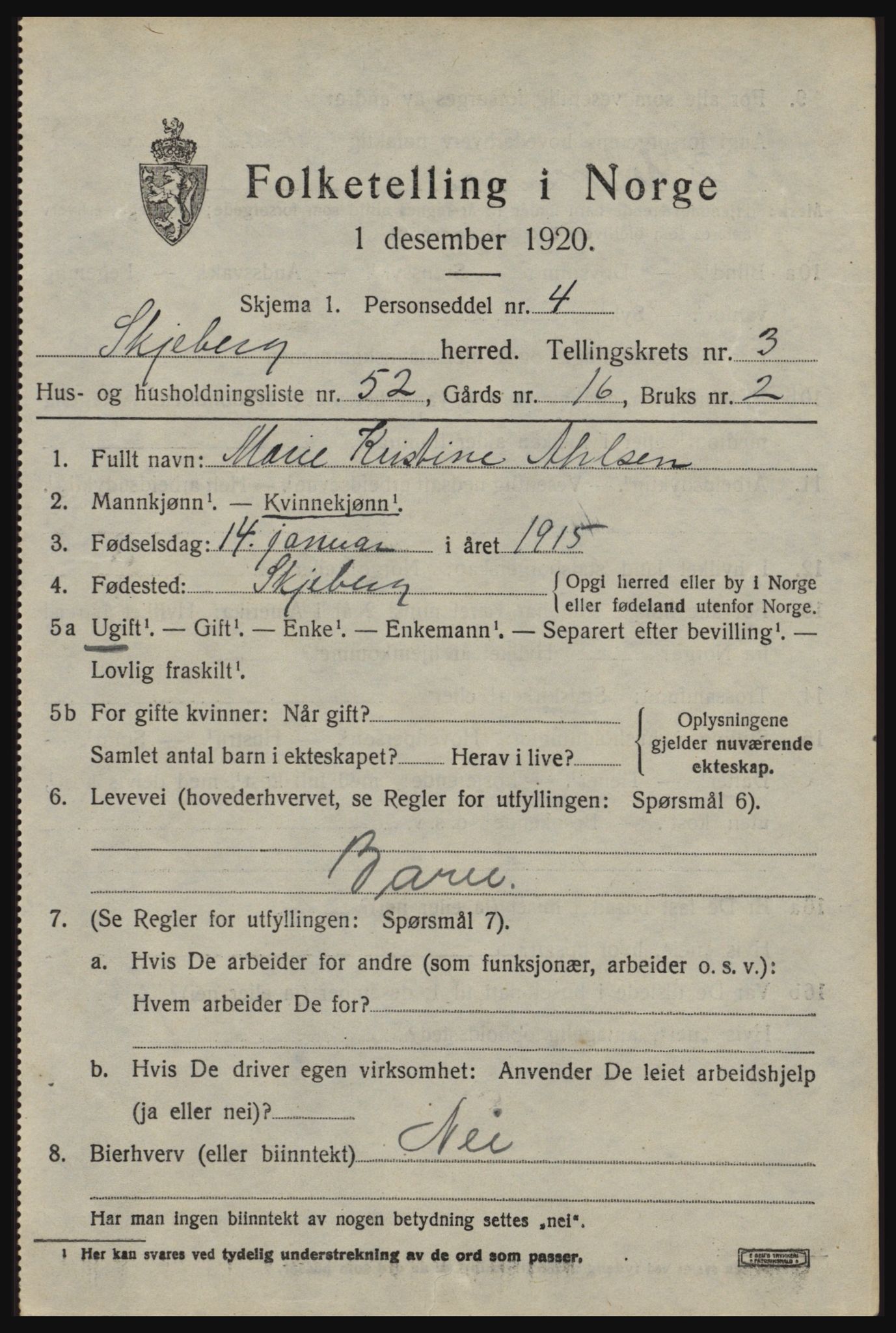 SAO, 1920 census for Skjeberg, 1920, p. 4971