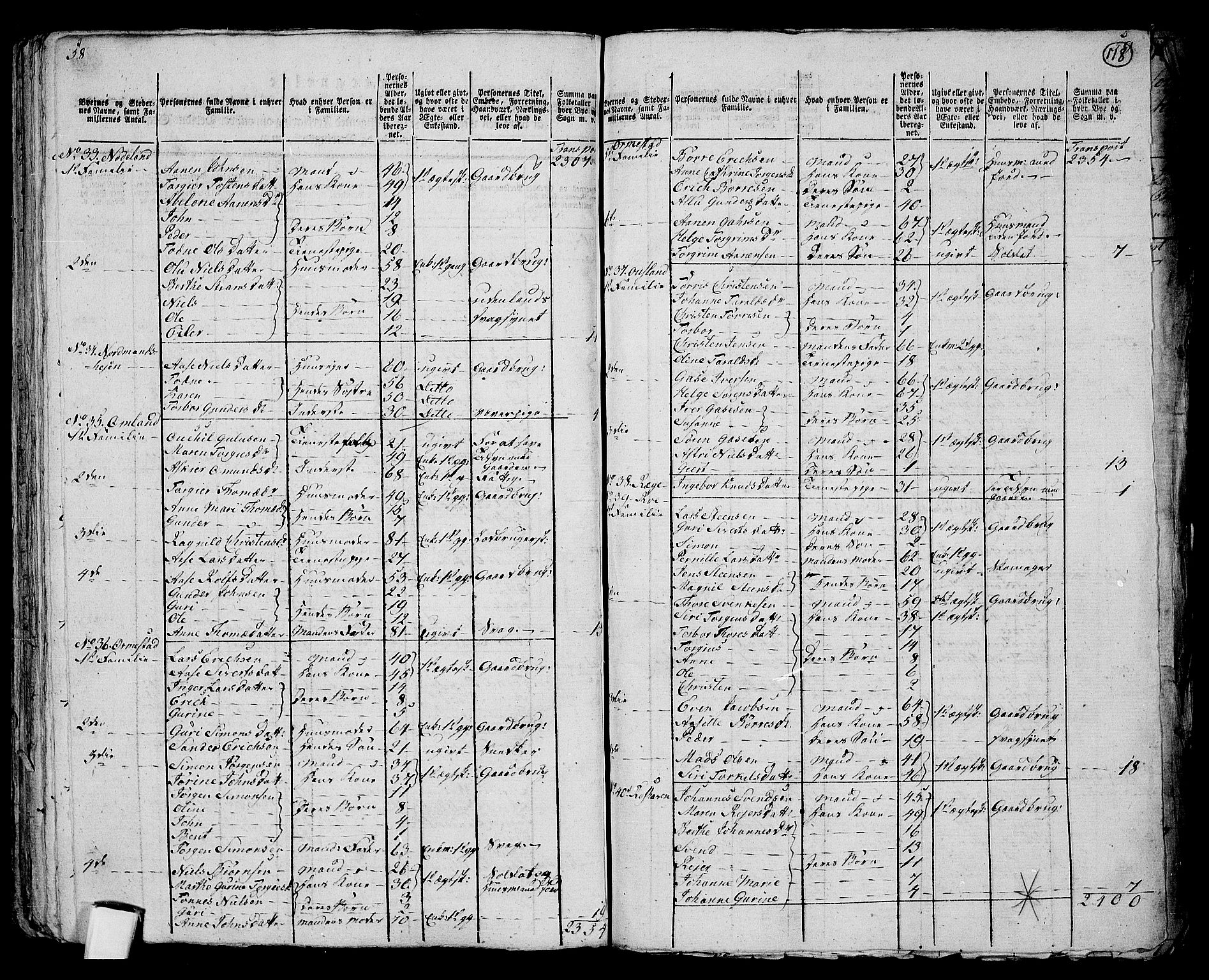 RA, 1801 census for 1019P Mandal, 1801, p. 117b-118a