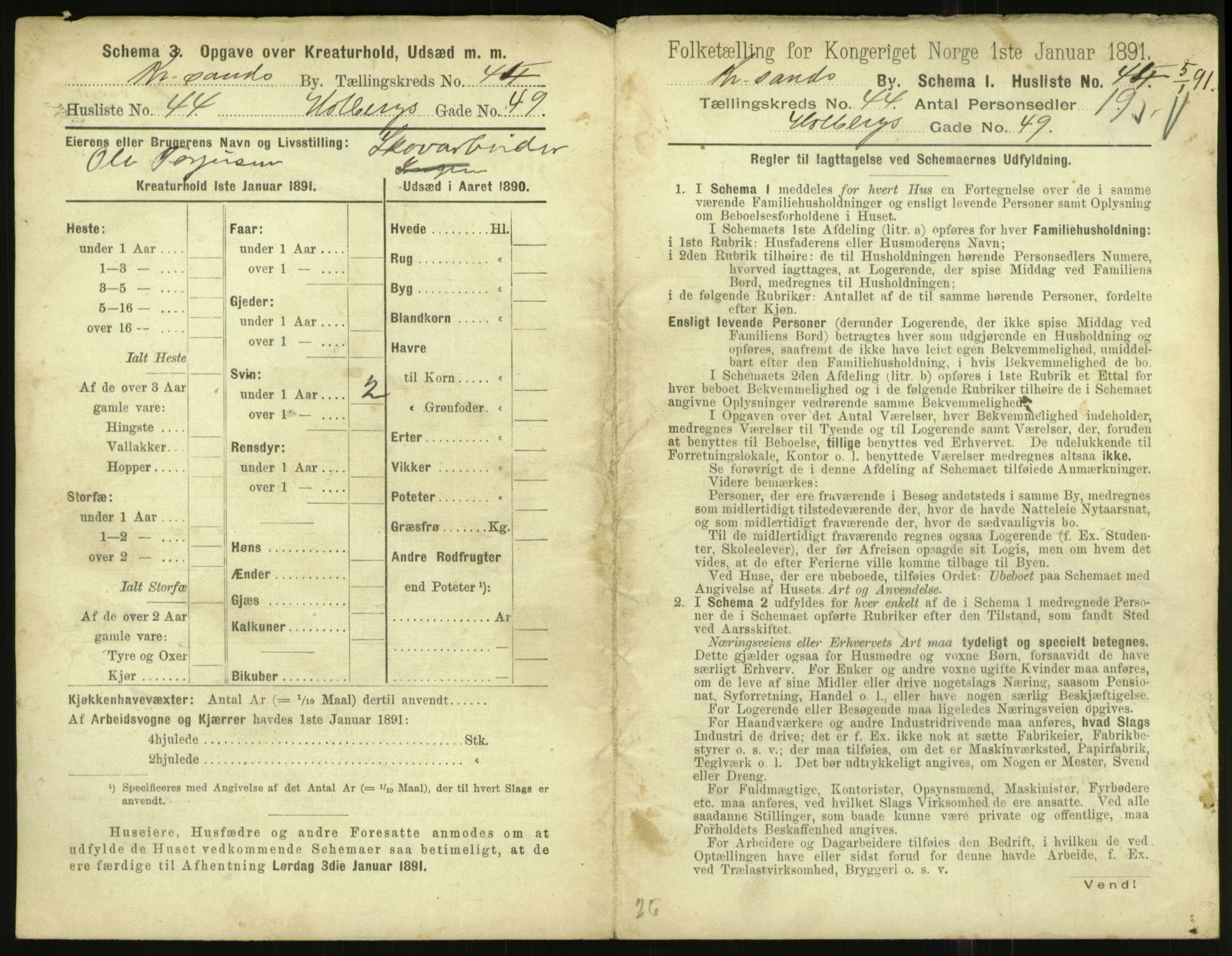 RA, 1891 census for 1001 Kristiansand, 1891, p. 2439