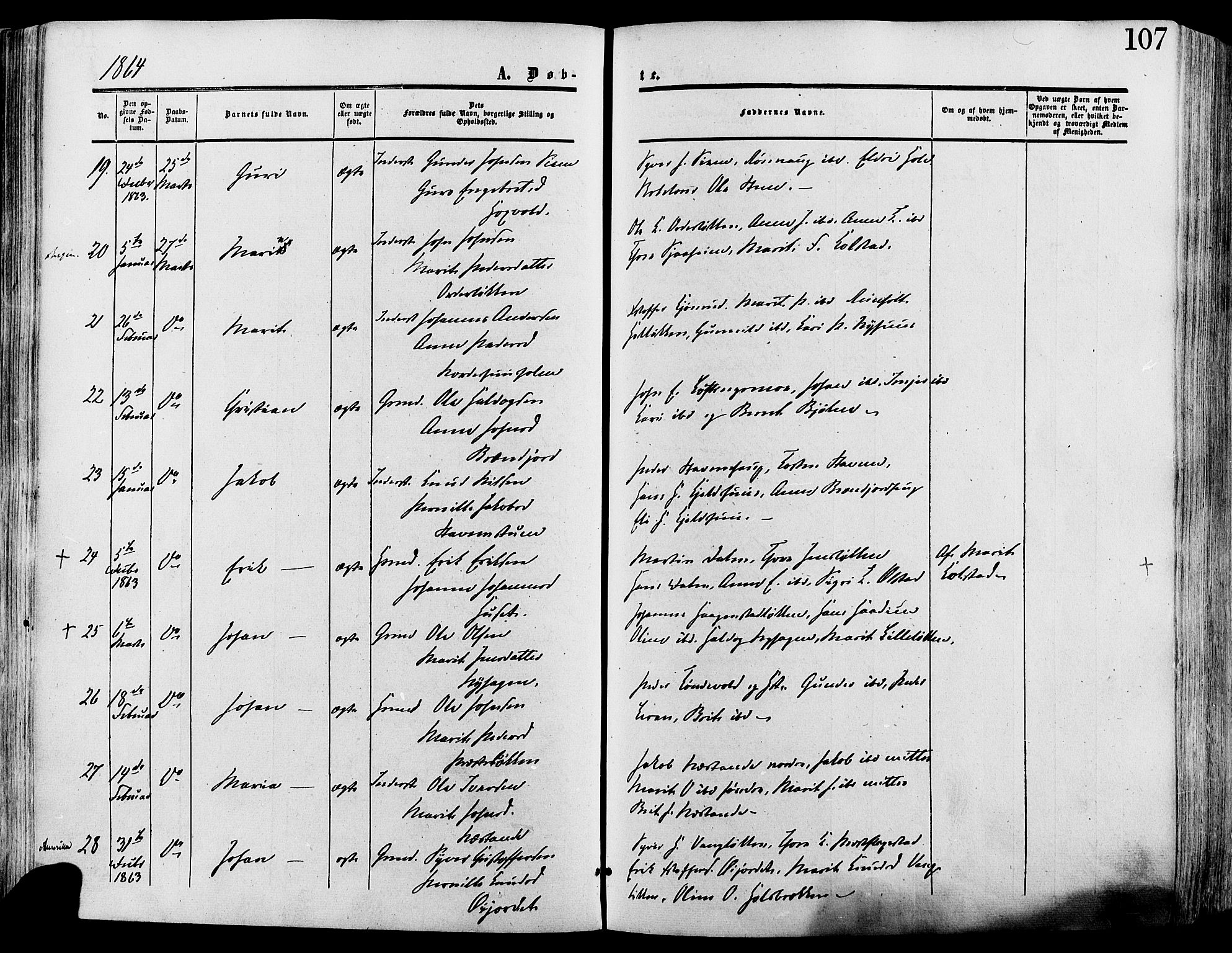 Lesja prestekontor, AV/SAH-PREST-068/H/Ha/Haa/L0008: Parish register (official) no. 8, 1854-1880, p. 107