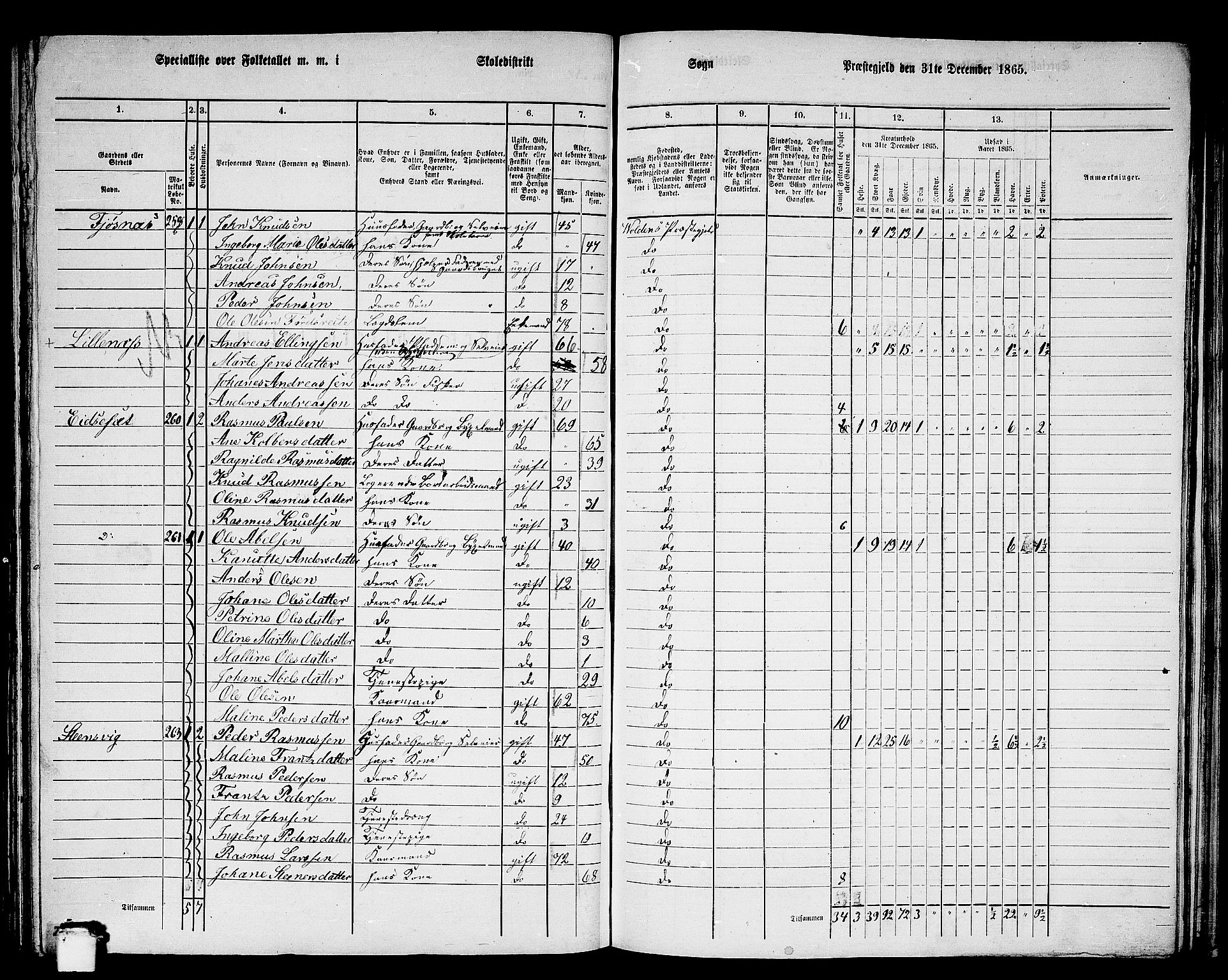 RA, 1865 census for Volda, 1865, p. 135