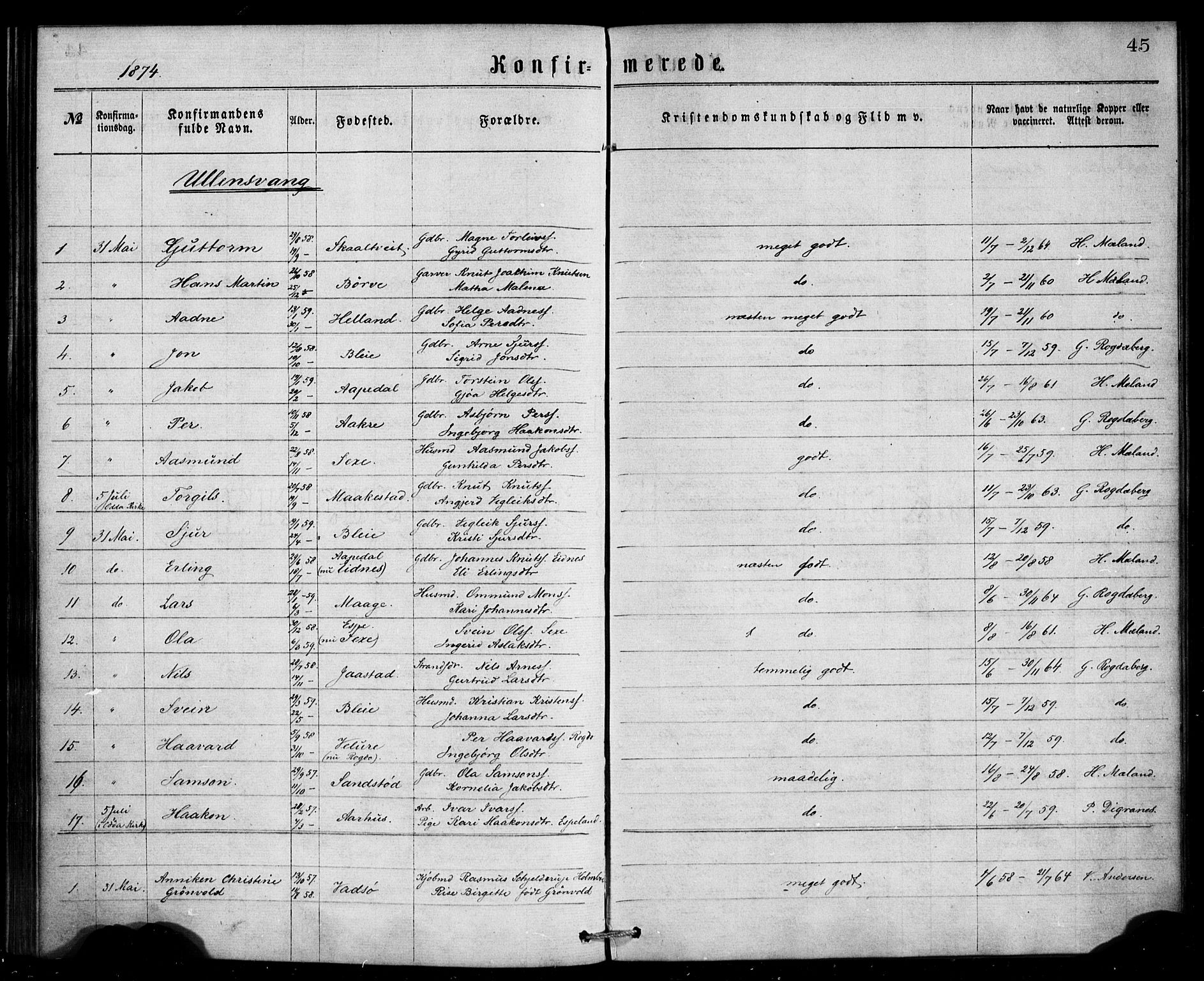 Ullensvang sokneprestembete, AV/SAB-A-78701/H/Haa: Parish register (official) no. A 13, 1867-1879, p. 45