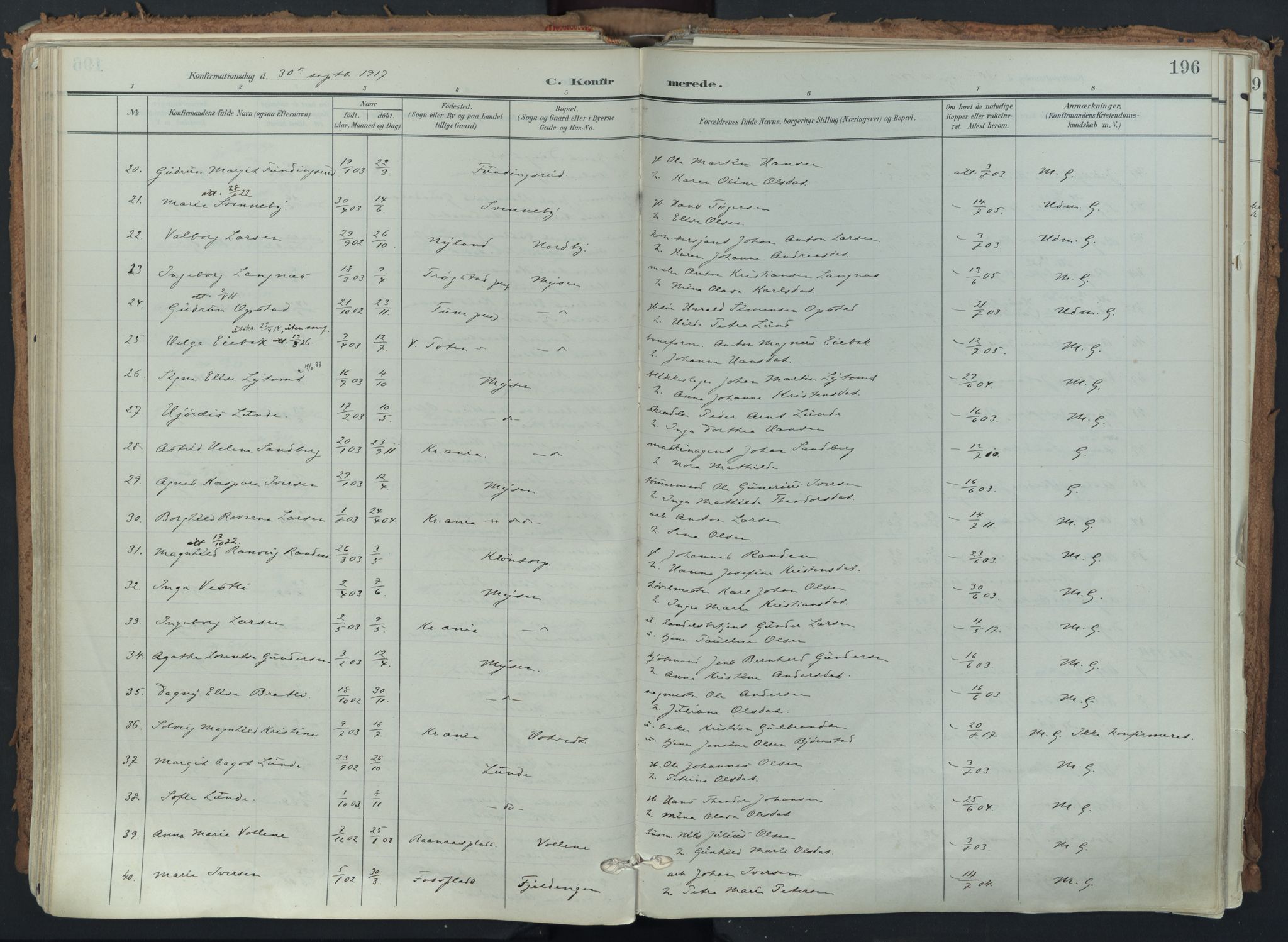 Eidsberg prestekontor Kirkebøker, SAO/A-10905/F/Fa/L0014: Parish register (official) no. I 14, 1902-1919, p. 196