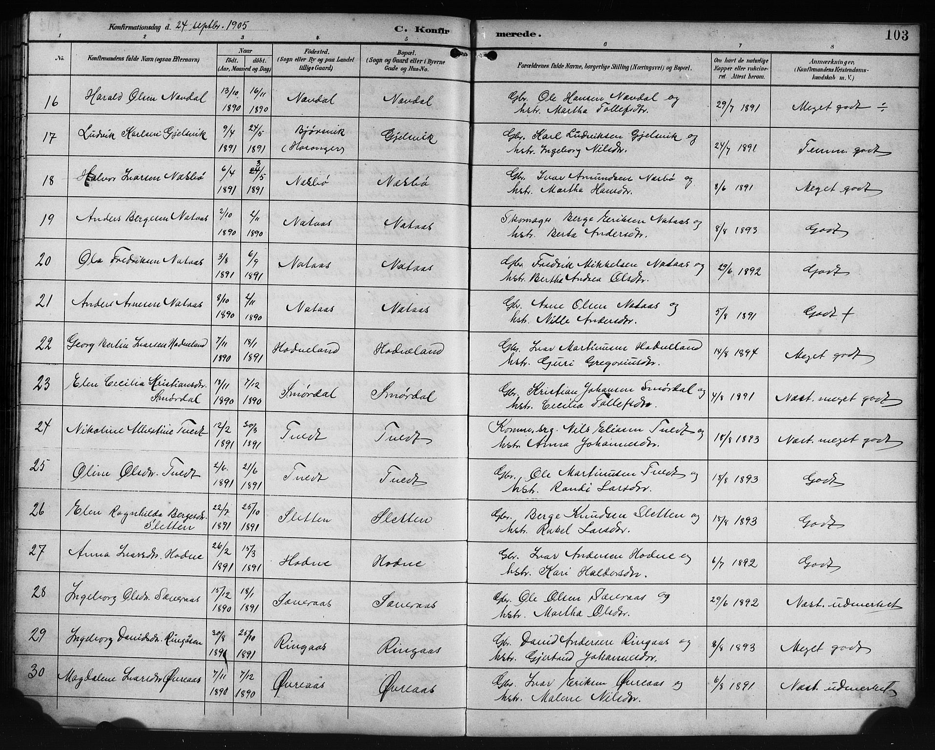 Lindås Sokneprestembete, SAB/A-76701/H/Hab: Parish register (copy) no. E 3, 1892-1905, p. 103