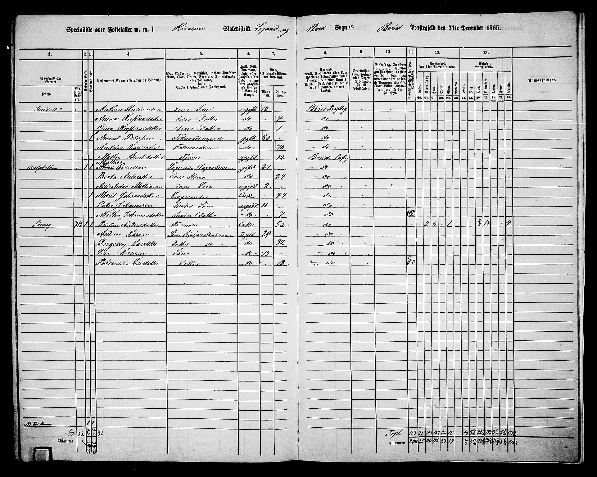 RA, 1865 census for Biri, 1865, p. 218