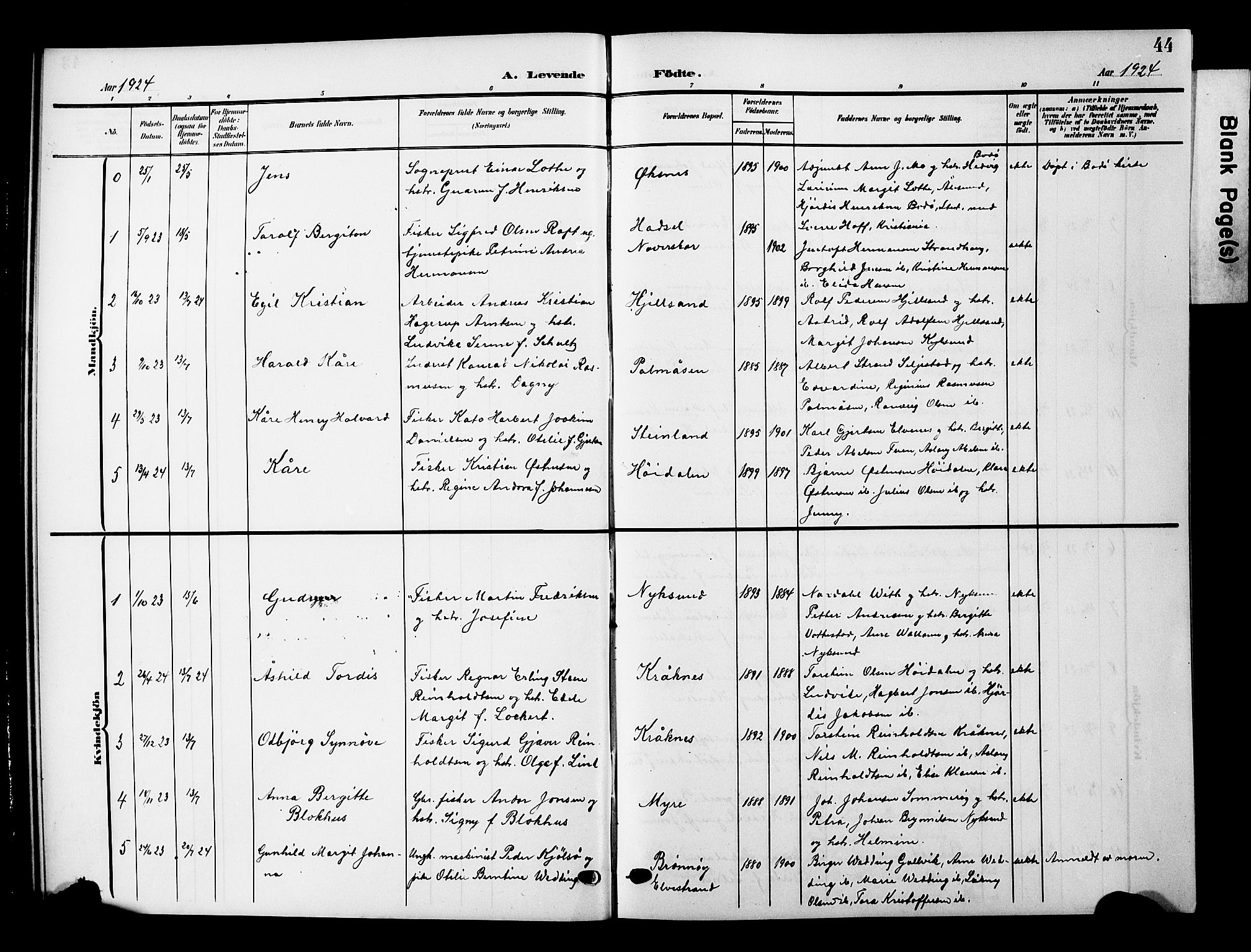 Ministerialprotokoller, klokkerbøker og fødselsregistre - Nordland, AV/SAT-A-1459/893/L1350: Parish register (copy) no. 893C05, 1906-1927, p. 44