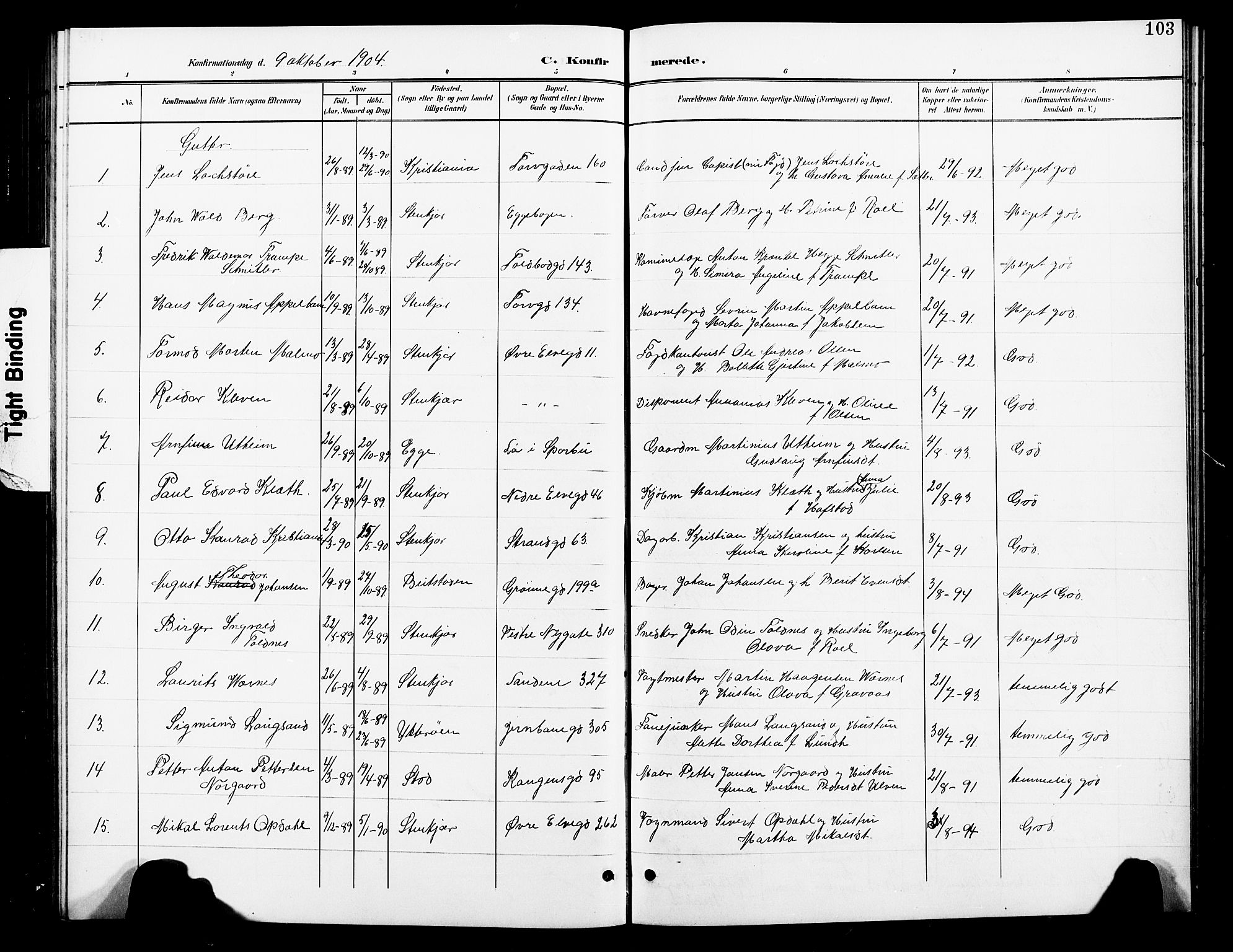 Ministerialprotokoller, klokkerbøker og fødselsregistre - Nord-Trøndelag, SAT/A-1458/739/L0375: Parish register (copy) no. 739C03, 1898-1908, p. 103