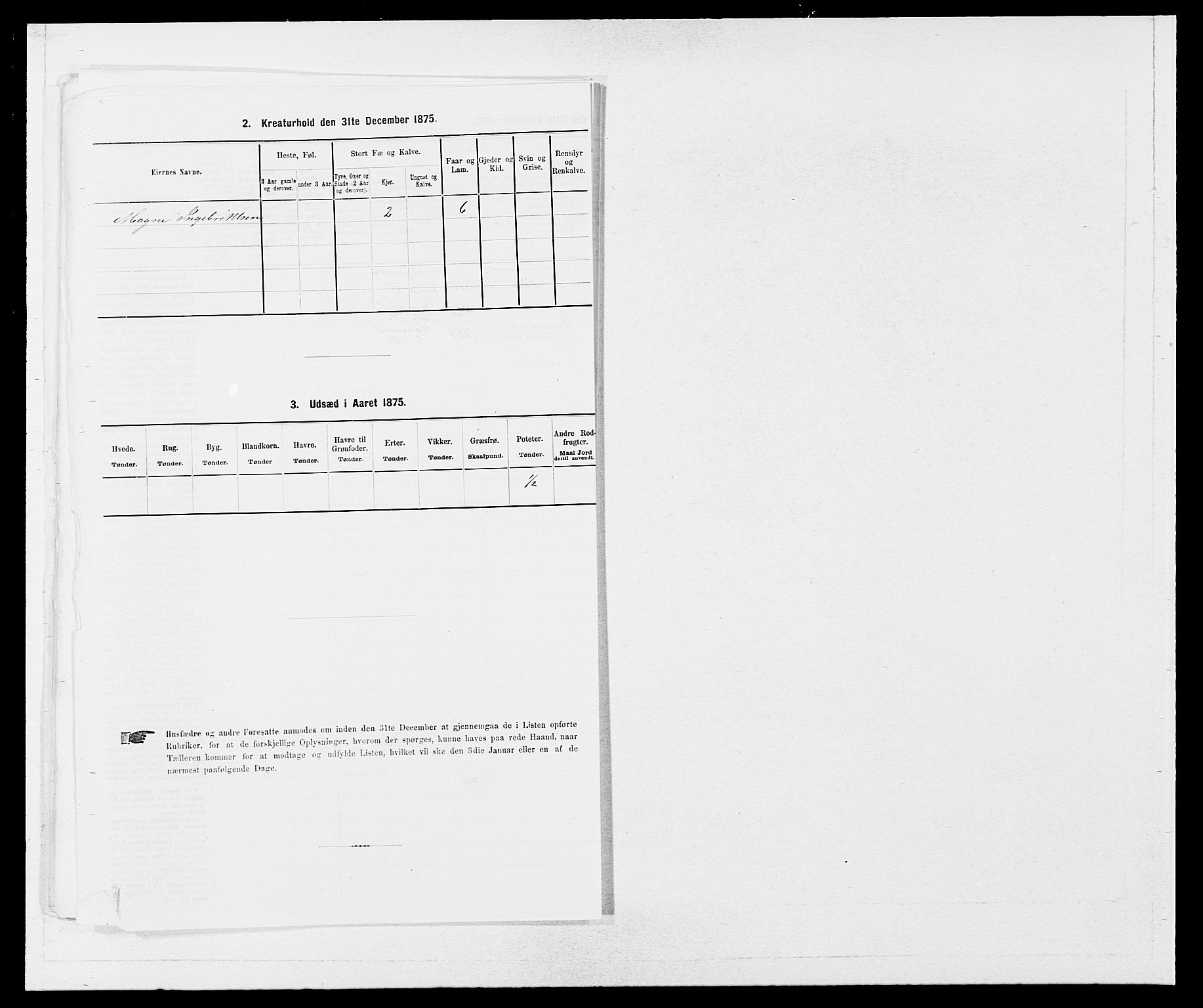 SAB, 1875 census for 1236P Vossestrand, 1875, p. 597