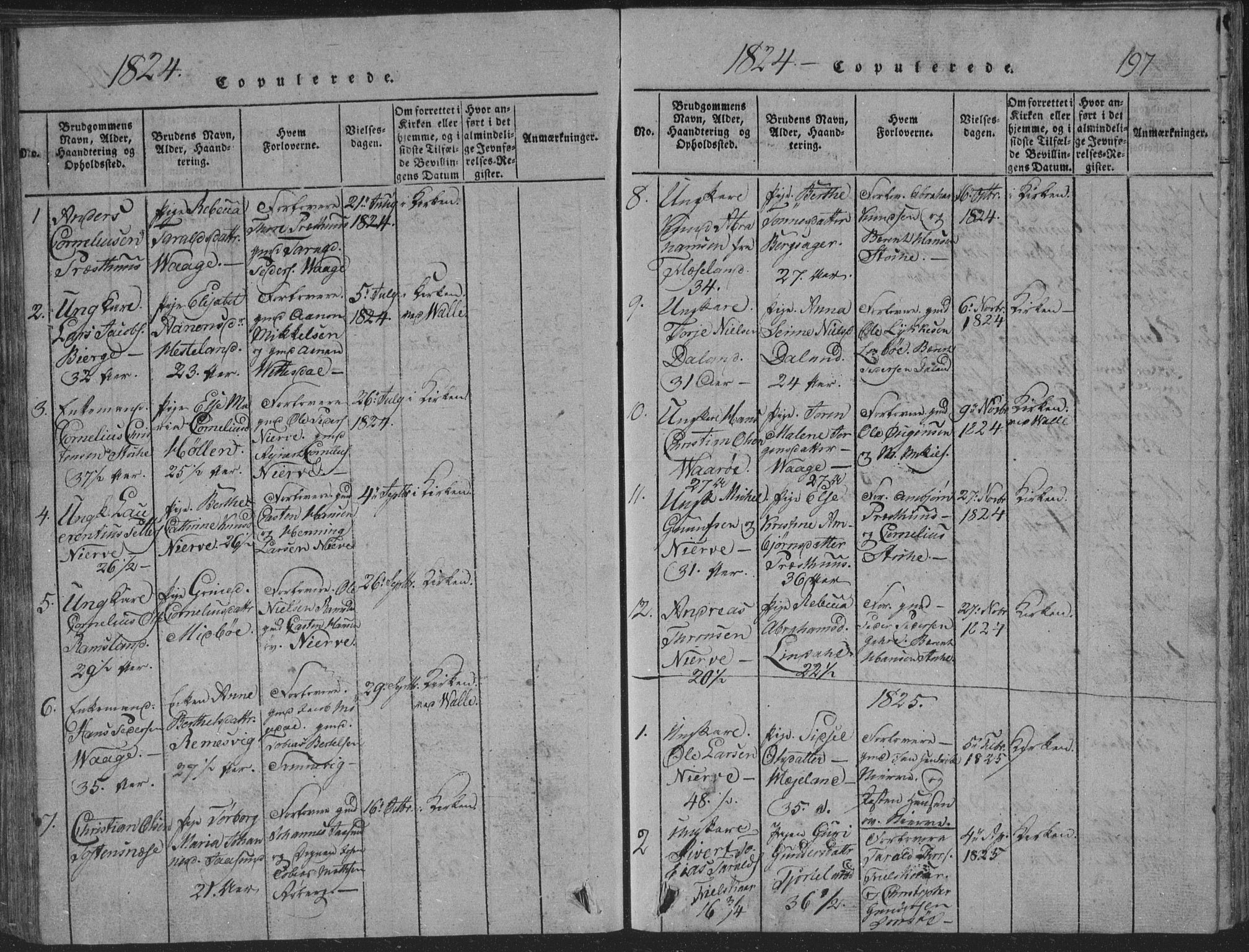 Sør-Audnedal sokneprestkontor, AV/SAK-1111-0039/F/Fb/Fba/L0001: Parish register (copy) no. B 1, 1815-1850, p. 197