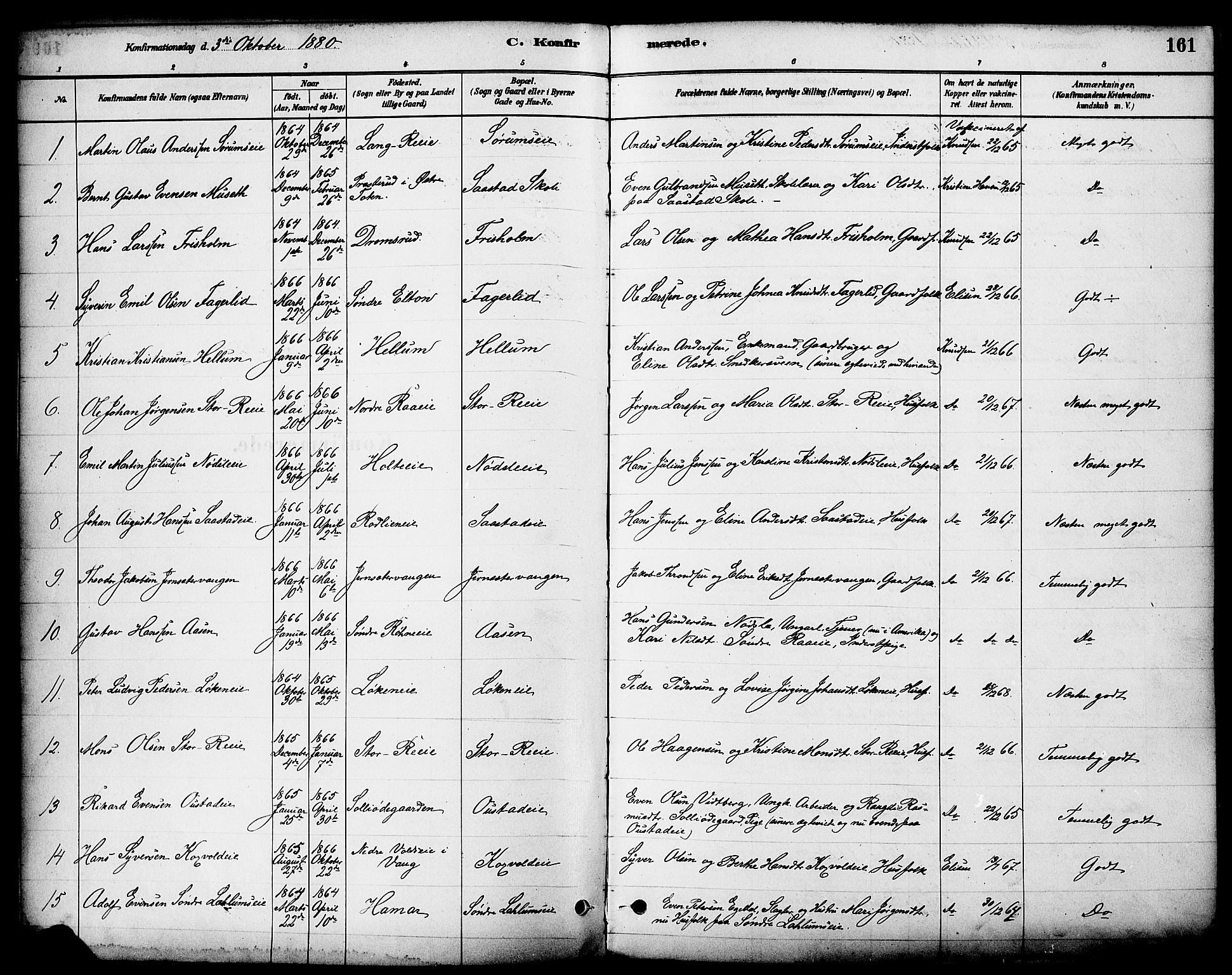 Stange prestekontor, SAH/PREST-002/K/L0017: Parish register (official) no. 17, 1880-1893, p. 161