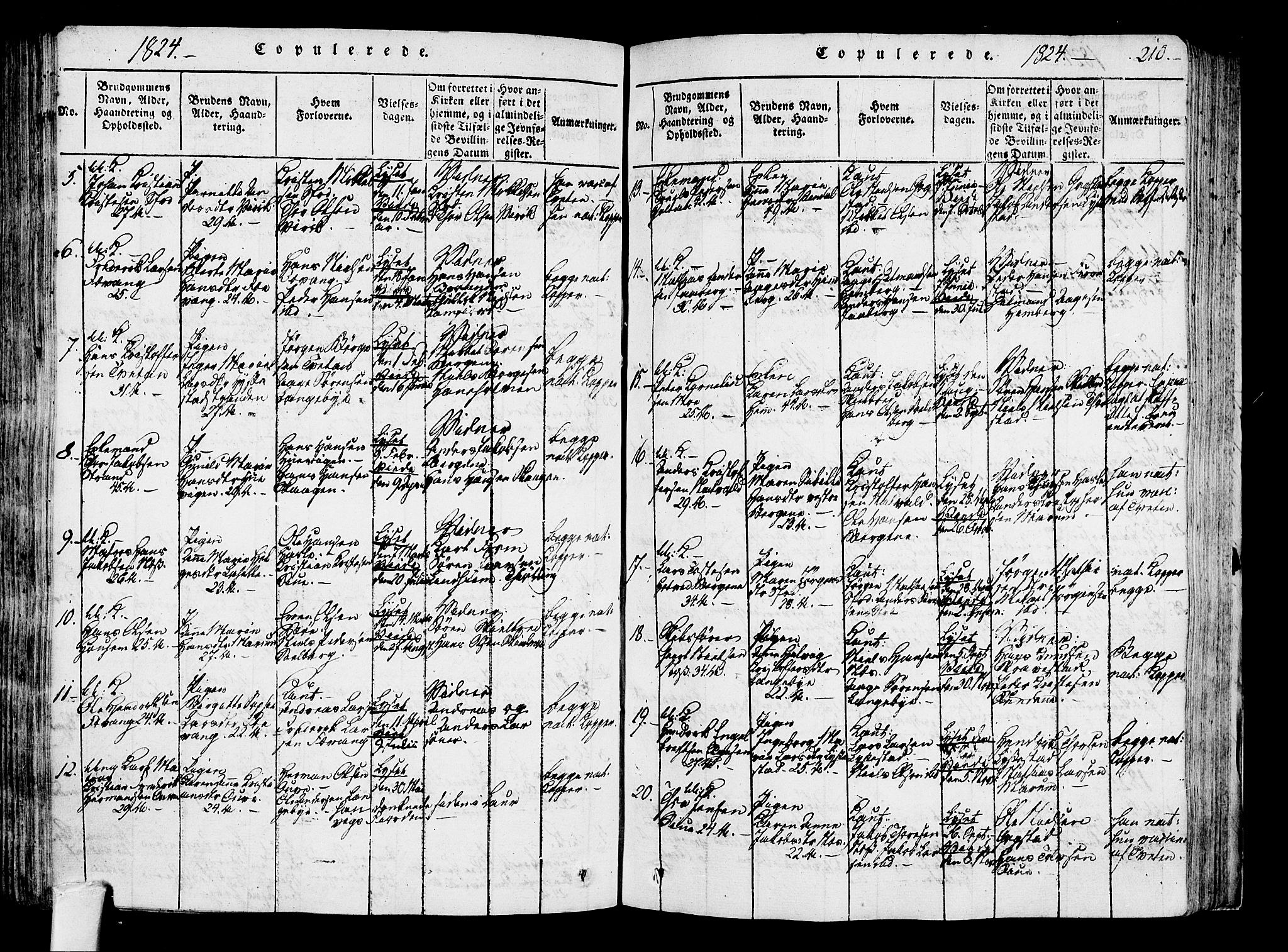 Sandar kirkebøker, AV/SAKO-A-243/F/Fa/L0004: Parish register (official) no. 4, 1814-1832, p. 210