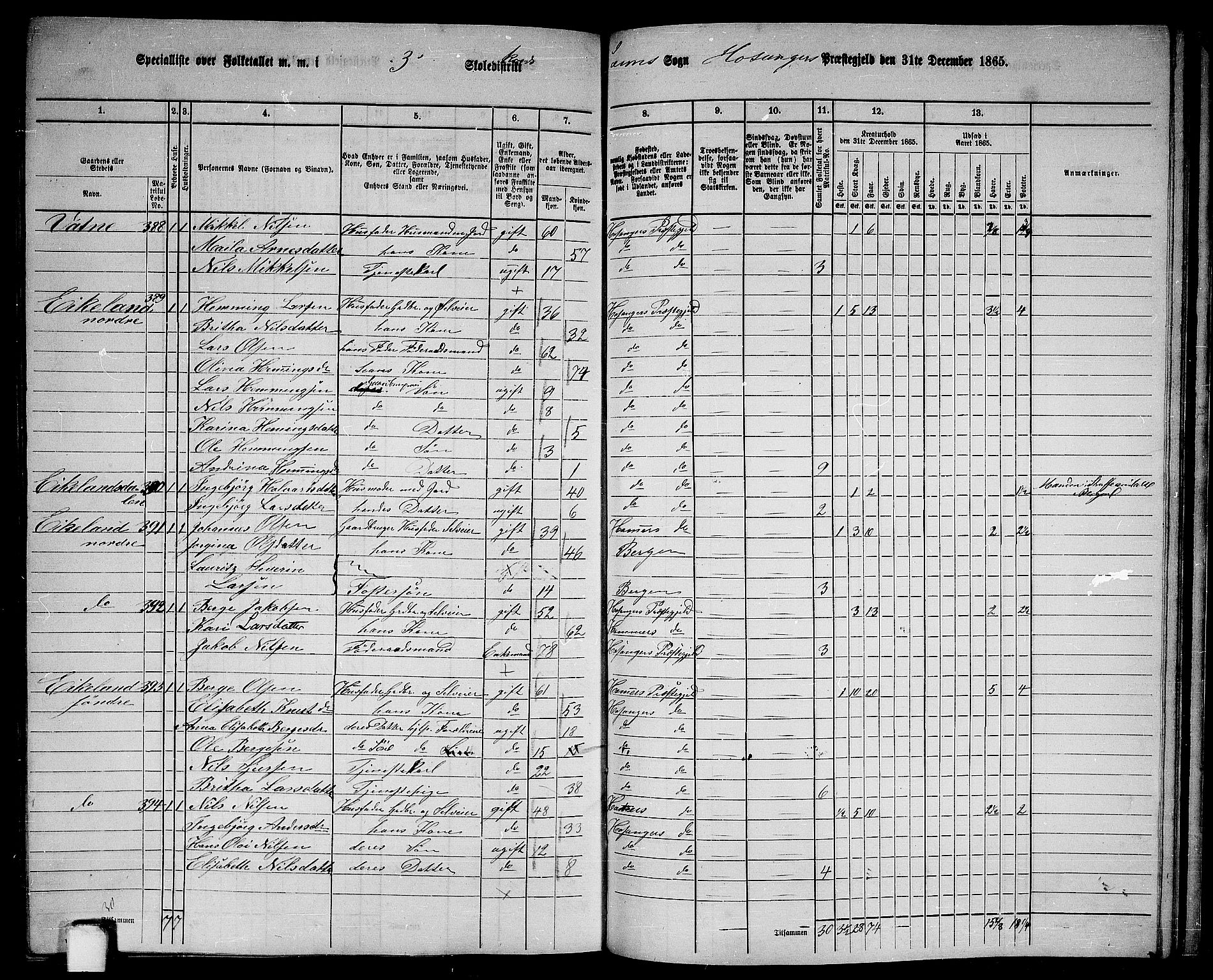 RA, 1865 census for Hosanger, 1865, p. 162