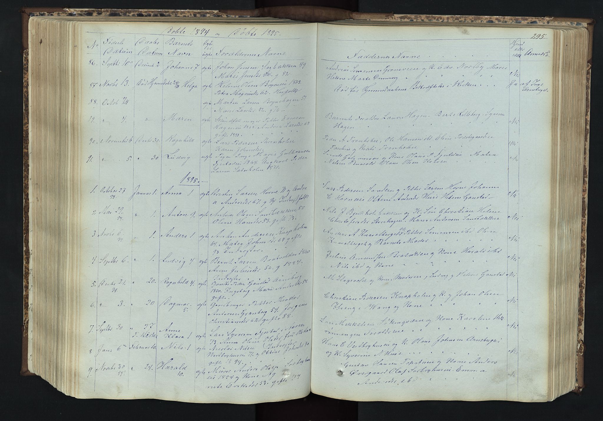 Romedal prestekontor, SAH/PREST-004/L/L0011: Parish register (copy) no. 11, 1867-1895, p. 295