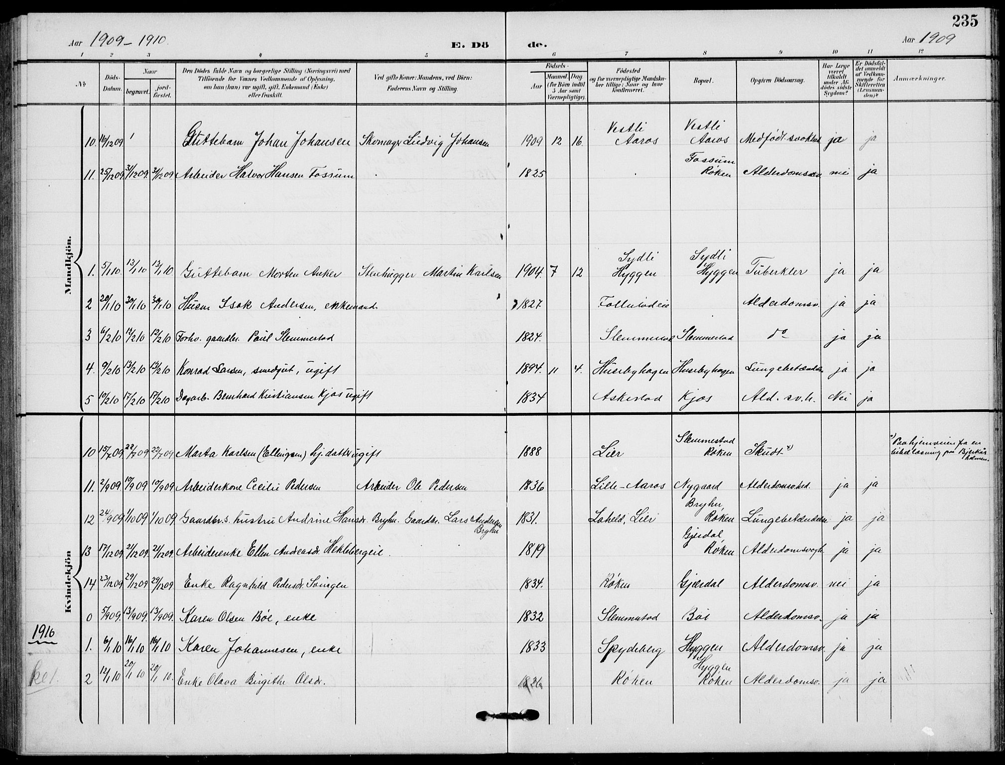 Røyken kirkebøker, SAKO/A-241/G/Ga/L0005: Parish register (copy) no. 5, 1903-1918, p. 235